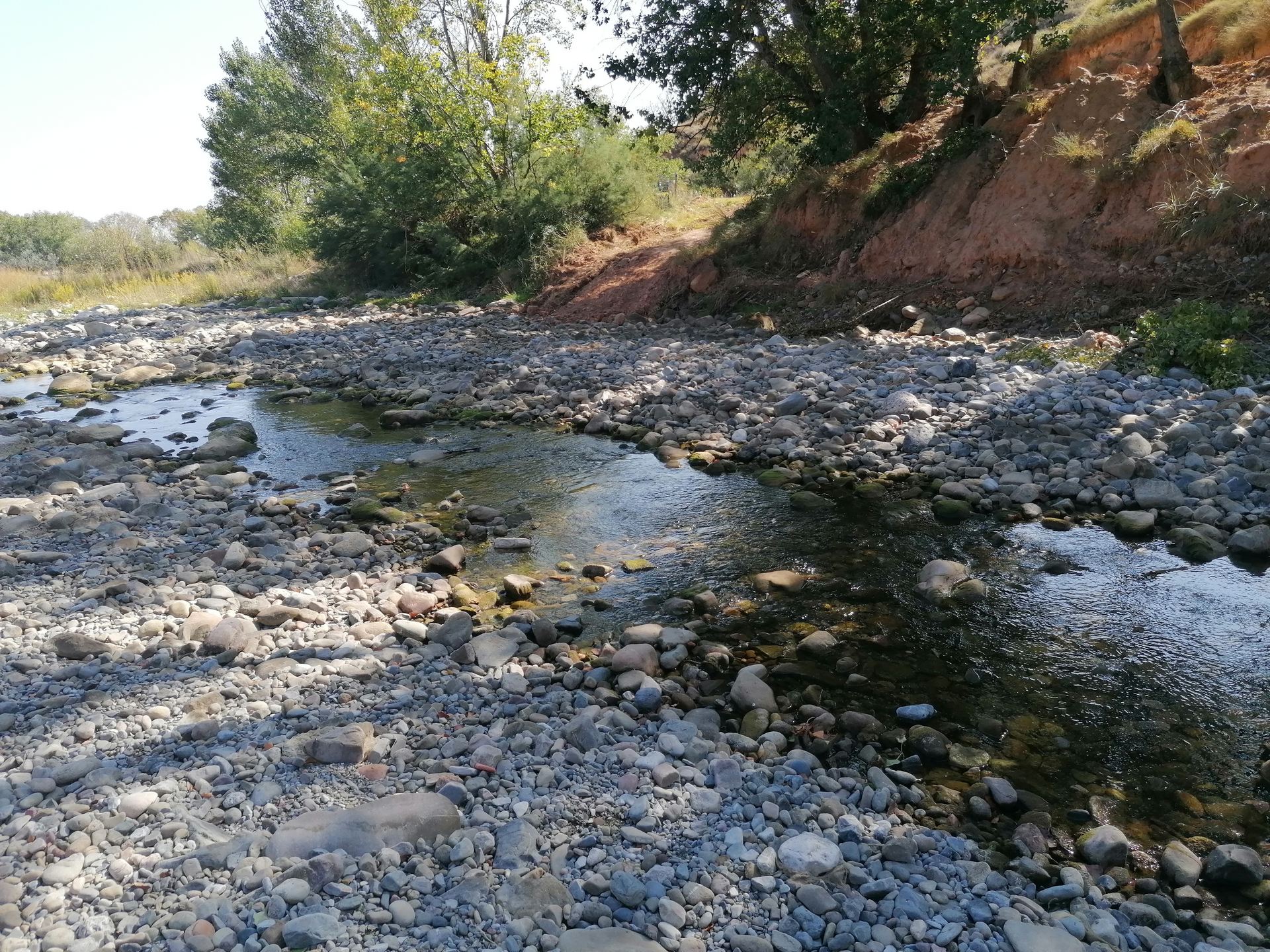 excursion_via_verde_1_20201116_1861050843.jpg