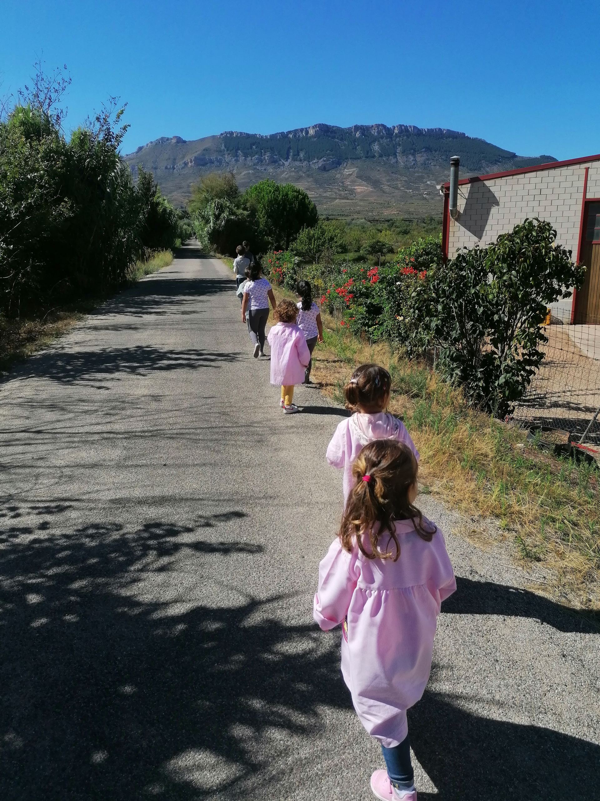 excursion_via_verde_5_20201116_1627782175.jpg