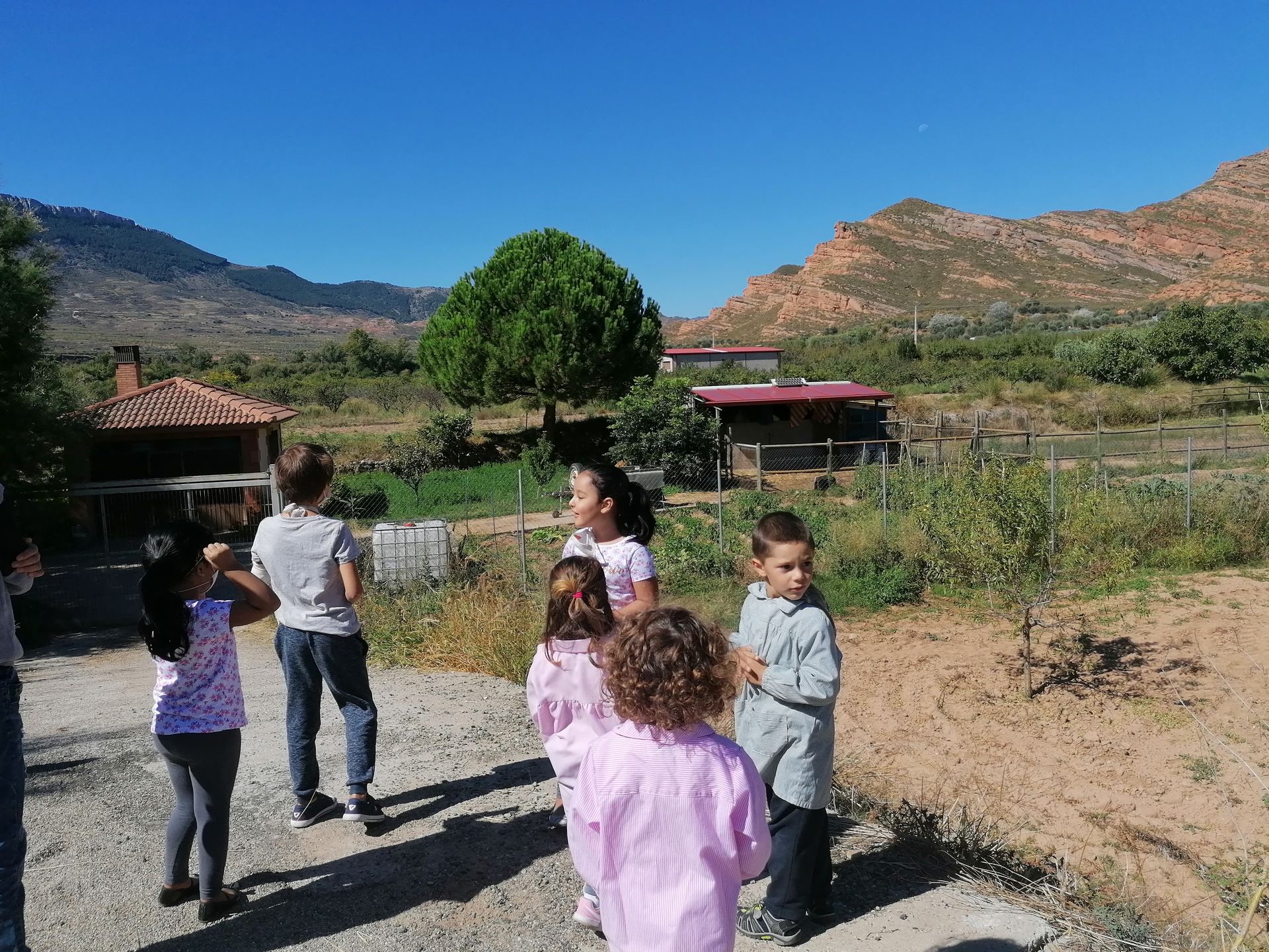 excursion_via_verde_6_20201116_1771145226.jpg