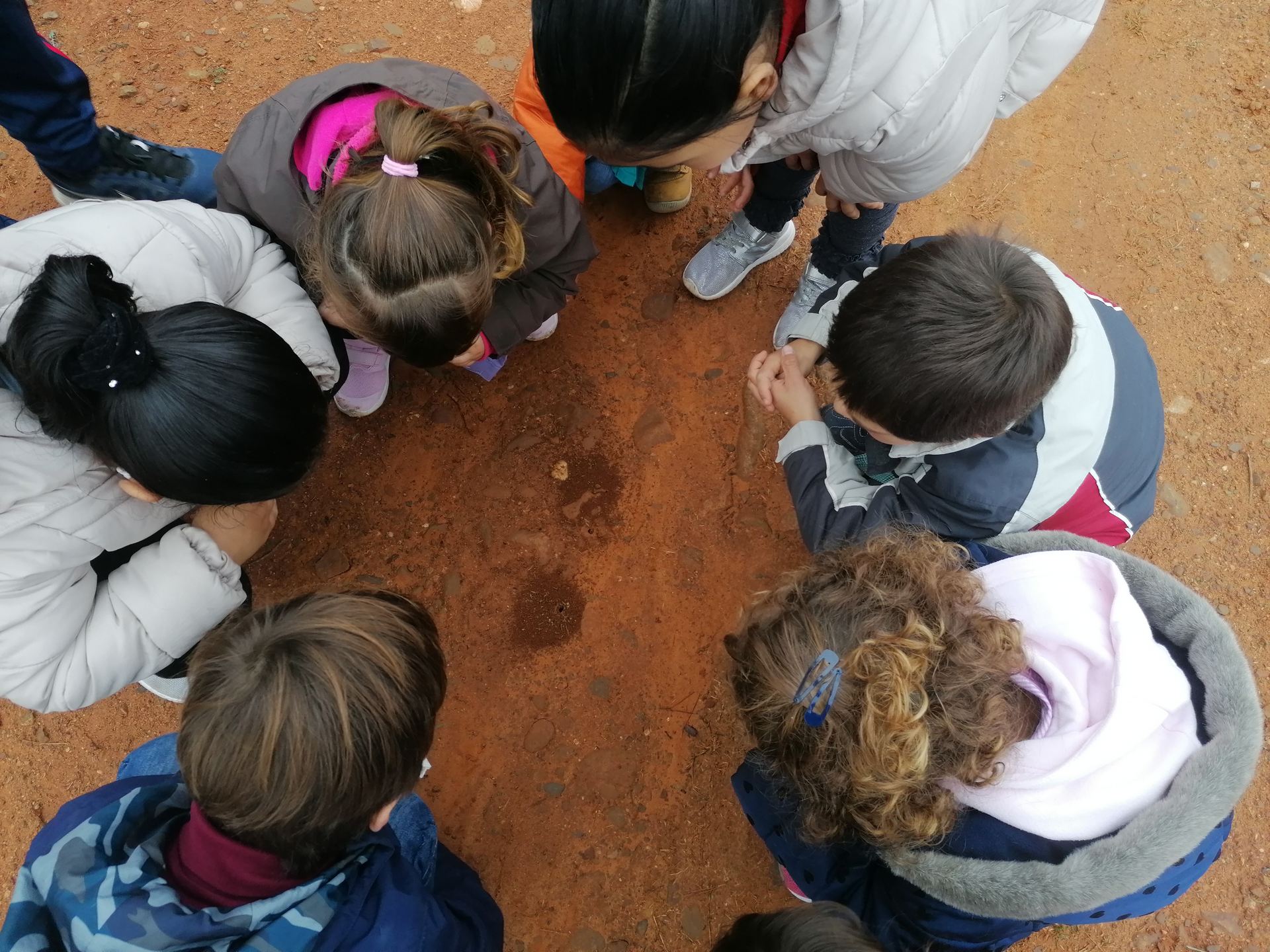 excursion_a_la_ermita_3_20201116_1215724358.jpg