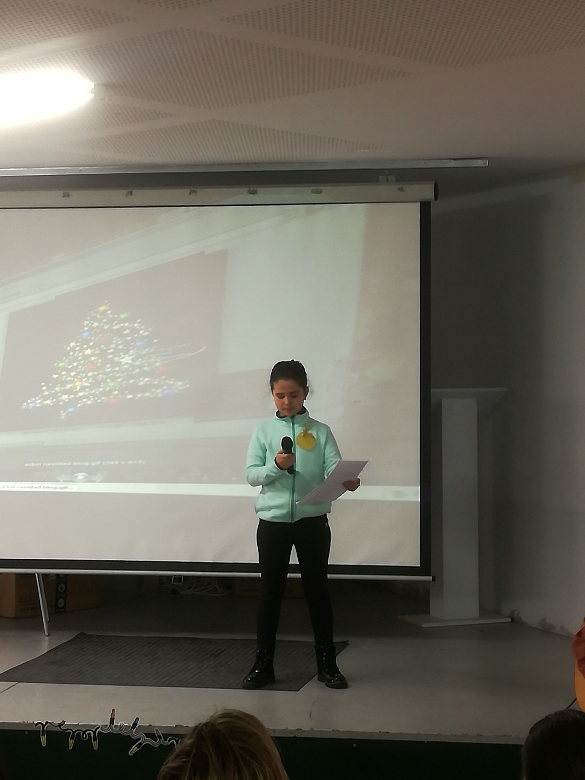 festivales_de_navidad_2019_8_20200113_1585843557.jpg