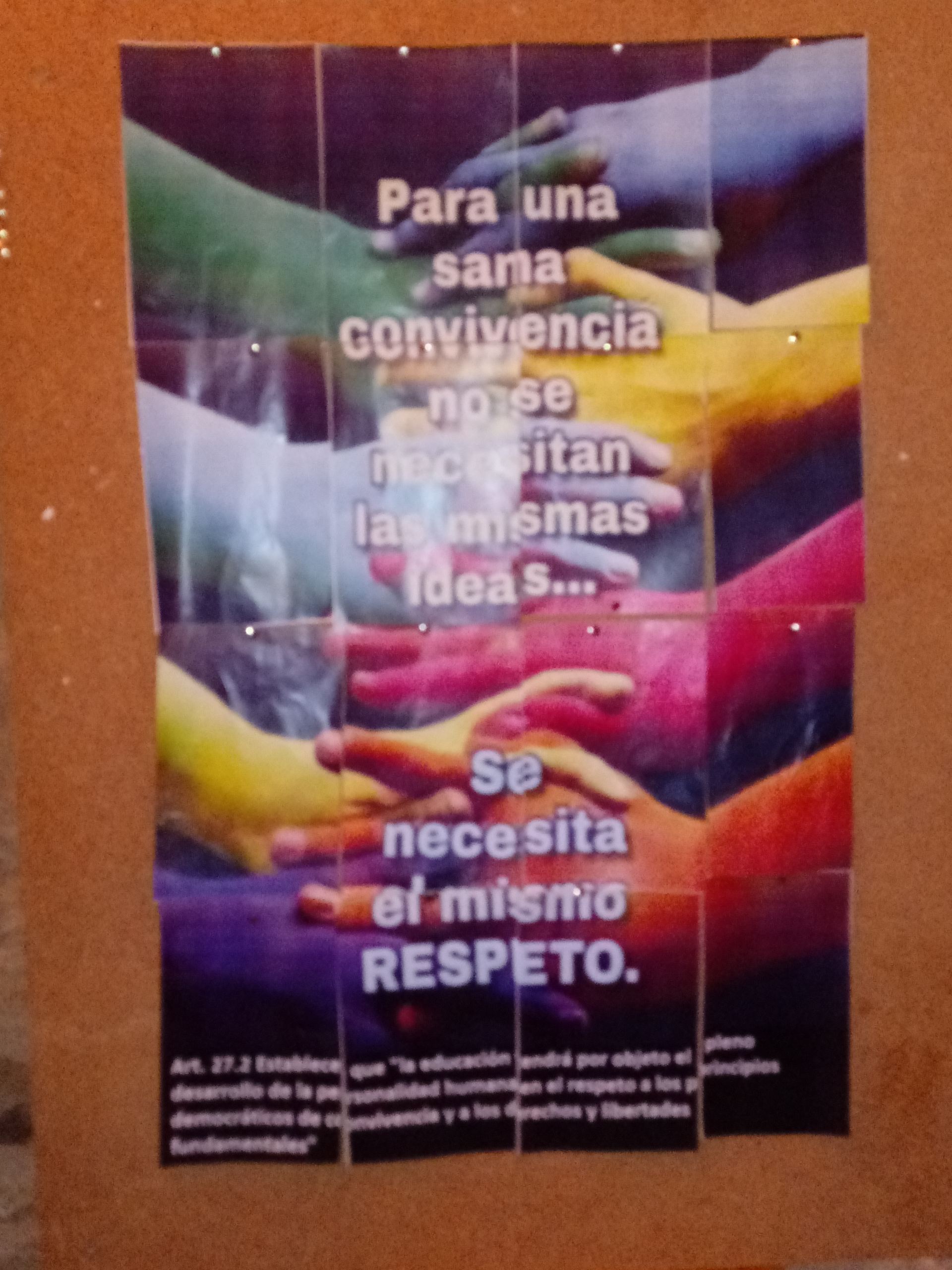 constitucion_2019_24_20191210_1915528456.jpg