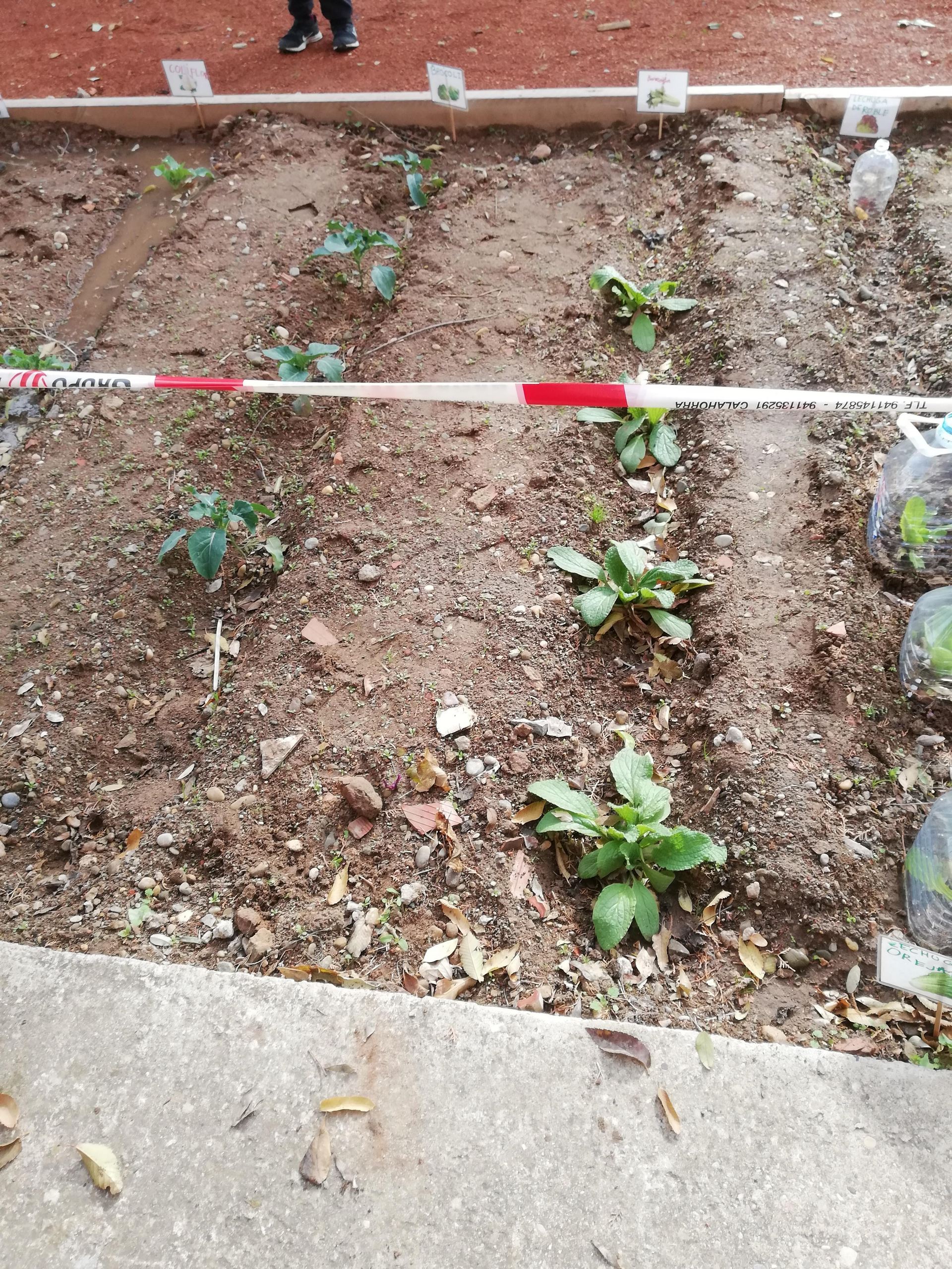 el_huerto_de_herce_10_20191201_1537933338.jpg