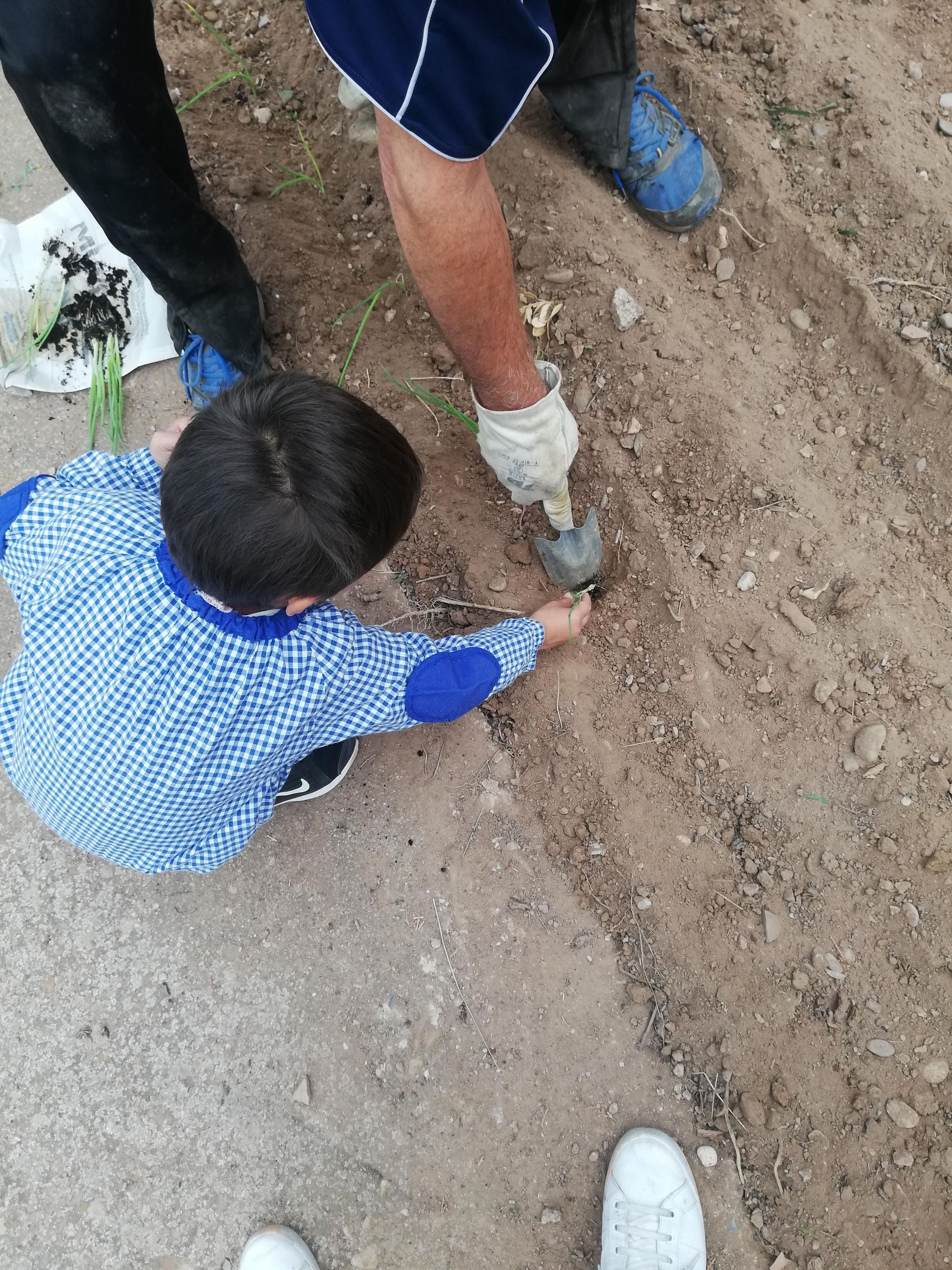 el_huerto_de_herce_4_20191201_1632593408.jpg