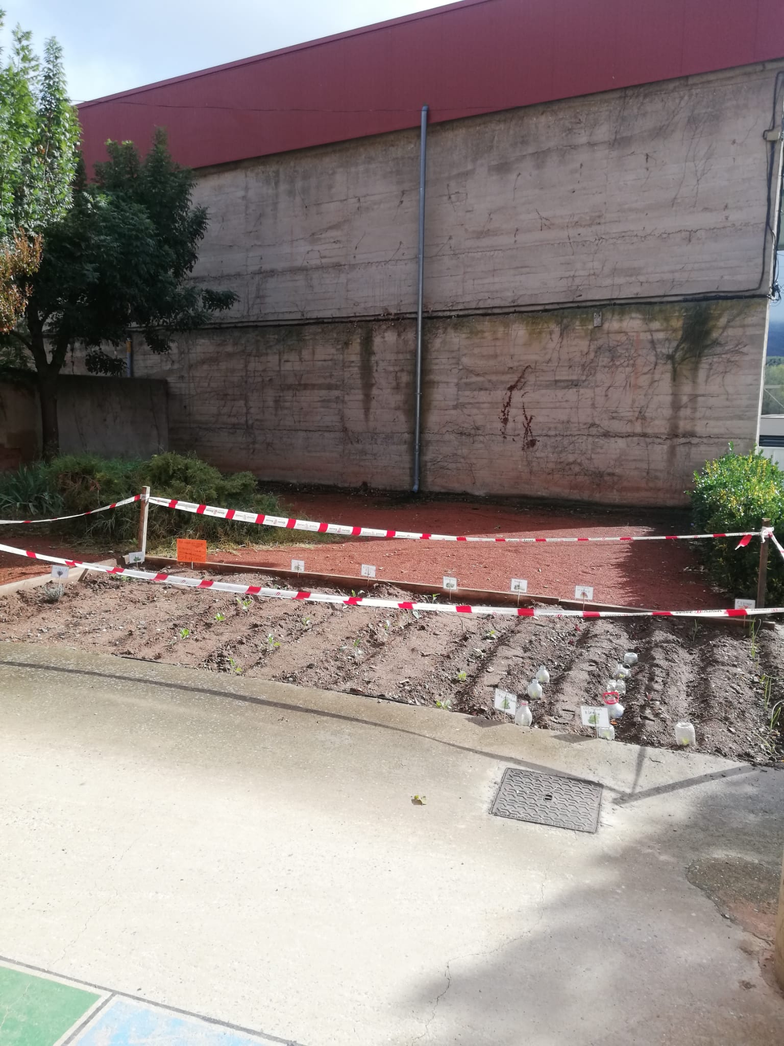 herce_3_20191119_1548834130.jpeg