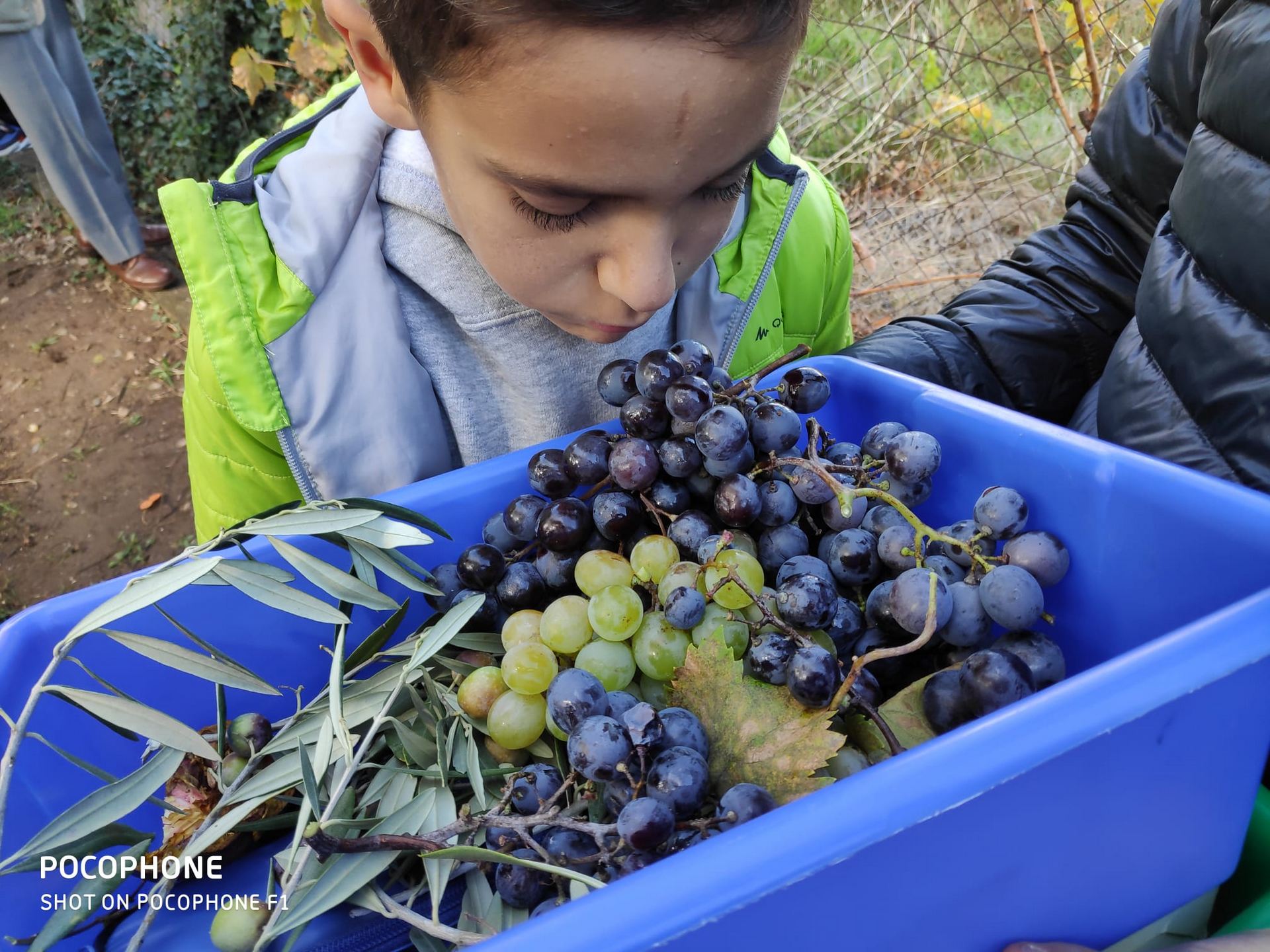 salida_al_olivar_de_prejano_12_20191108_1646279624.jpg