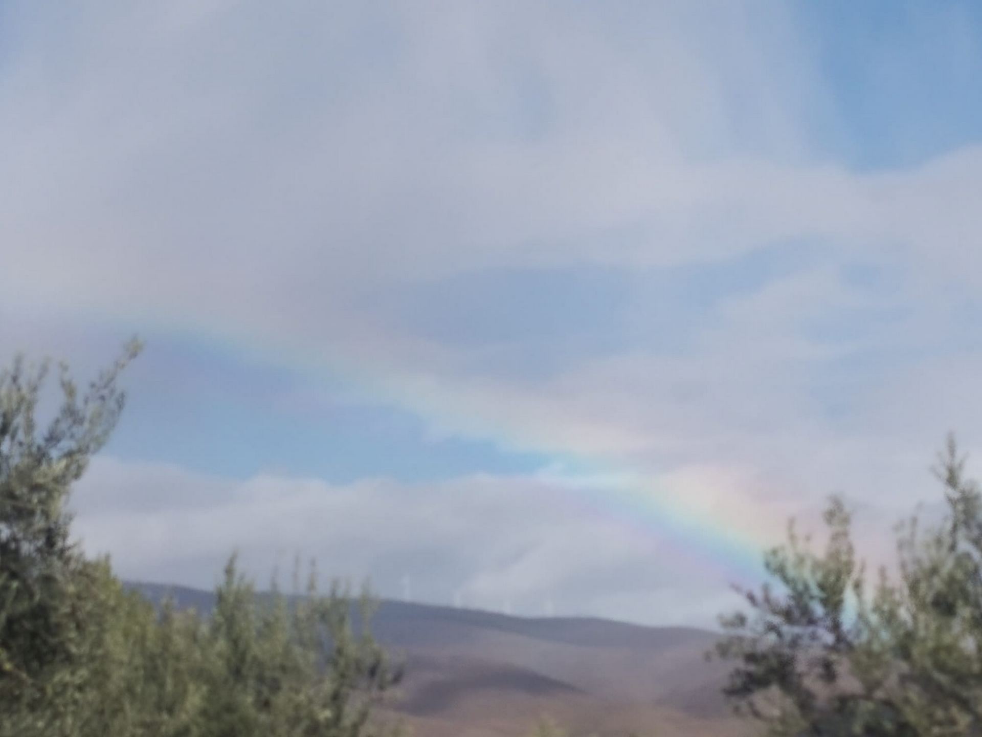 salida_al_olivar_de_prejano_2_20191108_1007813364.jpg