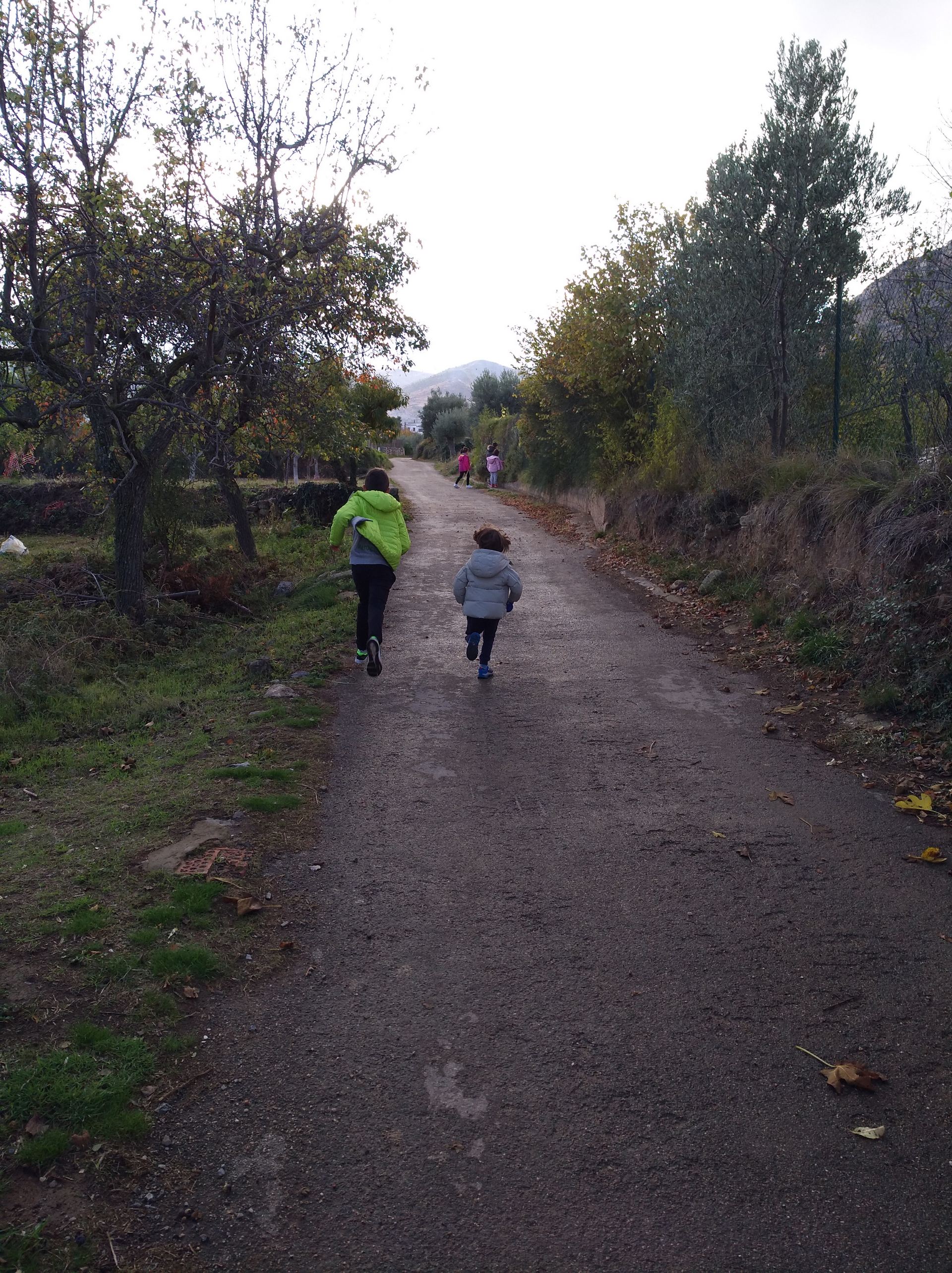 salida_al_olivar_de_prejano_4_20191108_1272467384.jpg