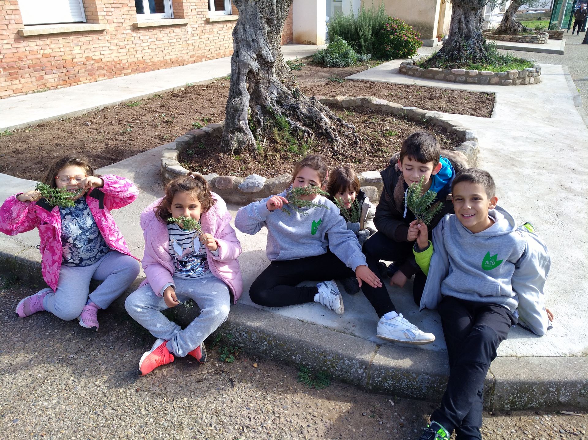 salida_al_olivar_de_prejano_9_20191108_1270339537.jpg