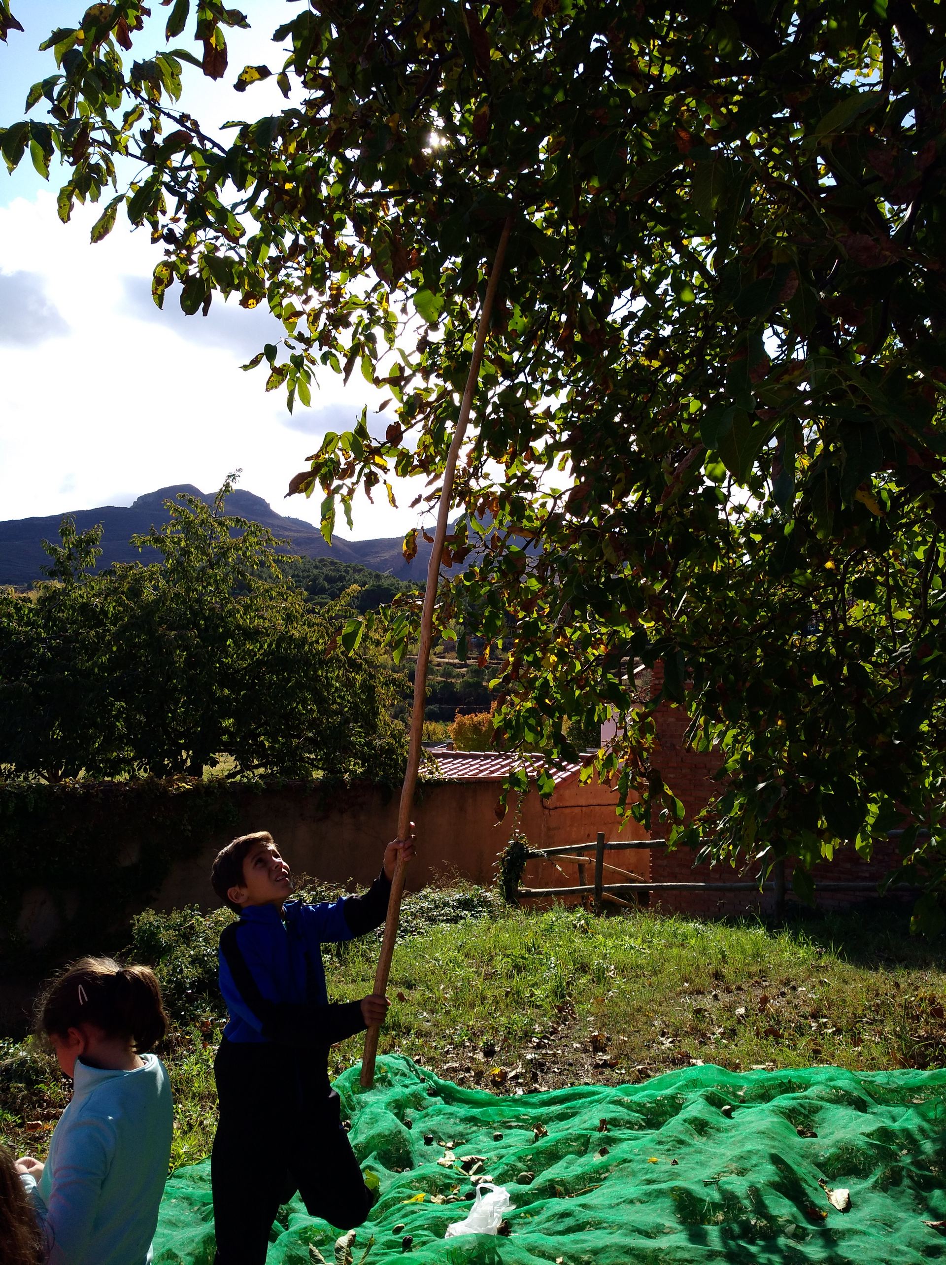 salida_a_por_nueces_3_20191028_1268621089.jpg