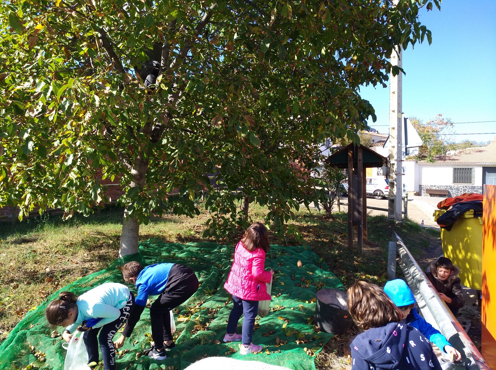 salida_a_por_nueces_7_20191028_1581585351.jpg