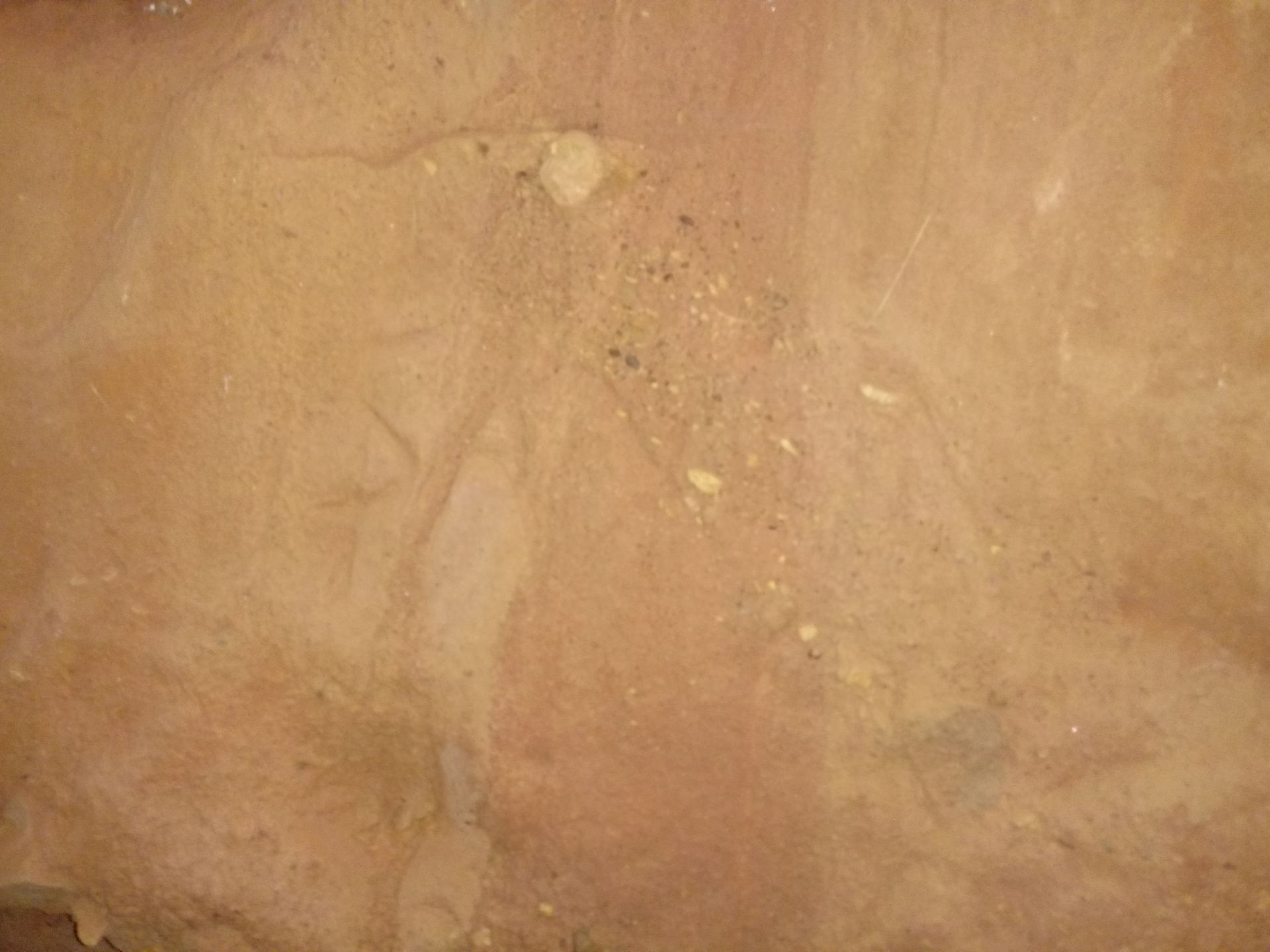 visita_cuevas_28_20191010_1889230906.jpg