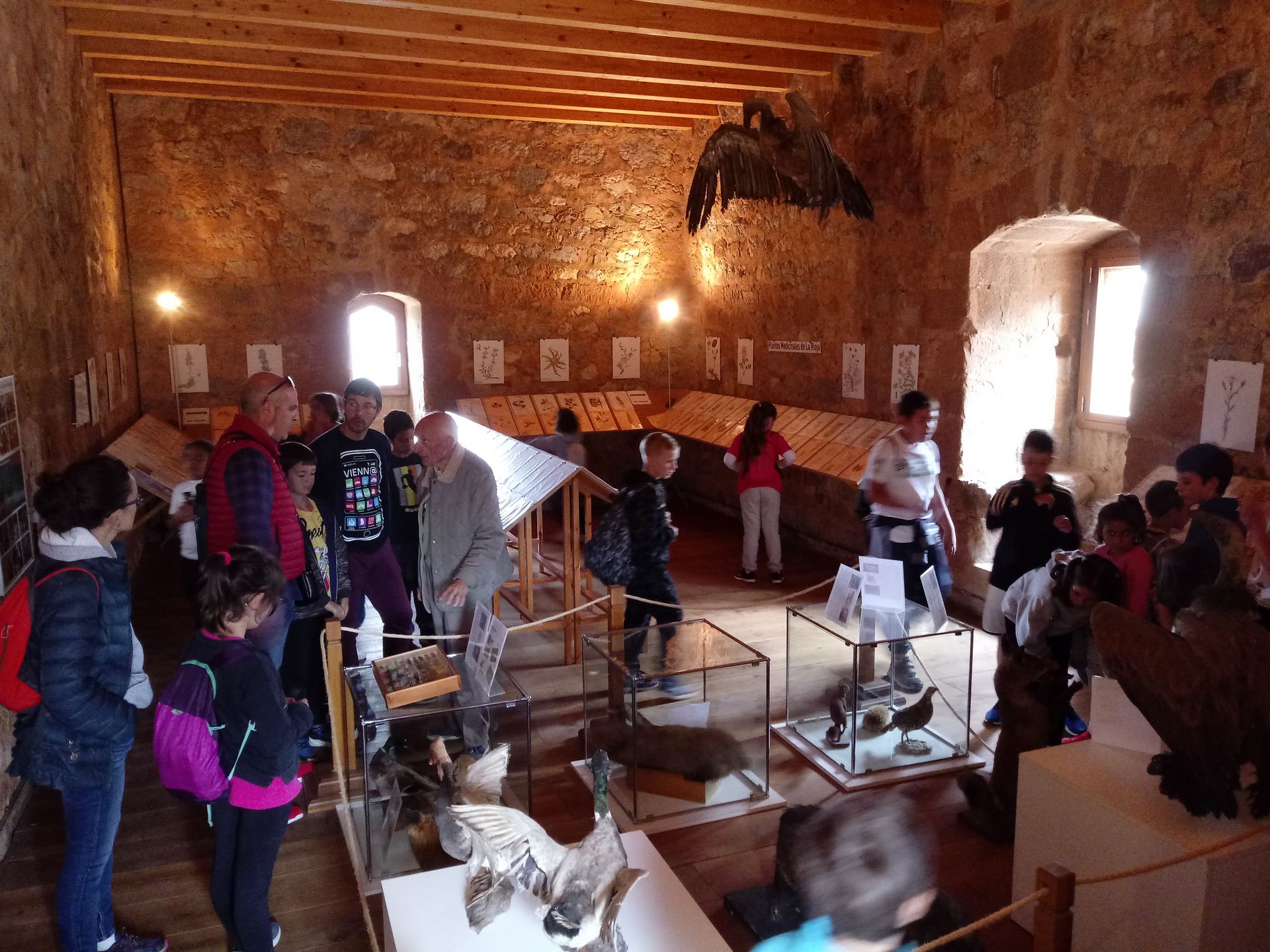 visita_cuevas_38_20191010_1867770680.jpg