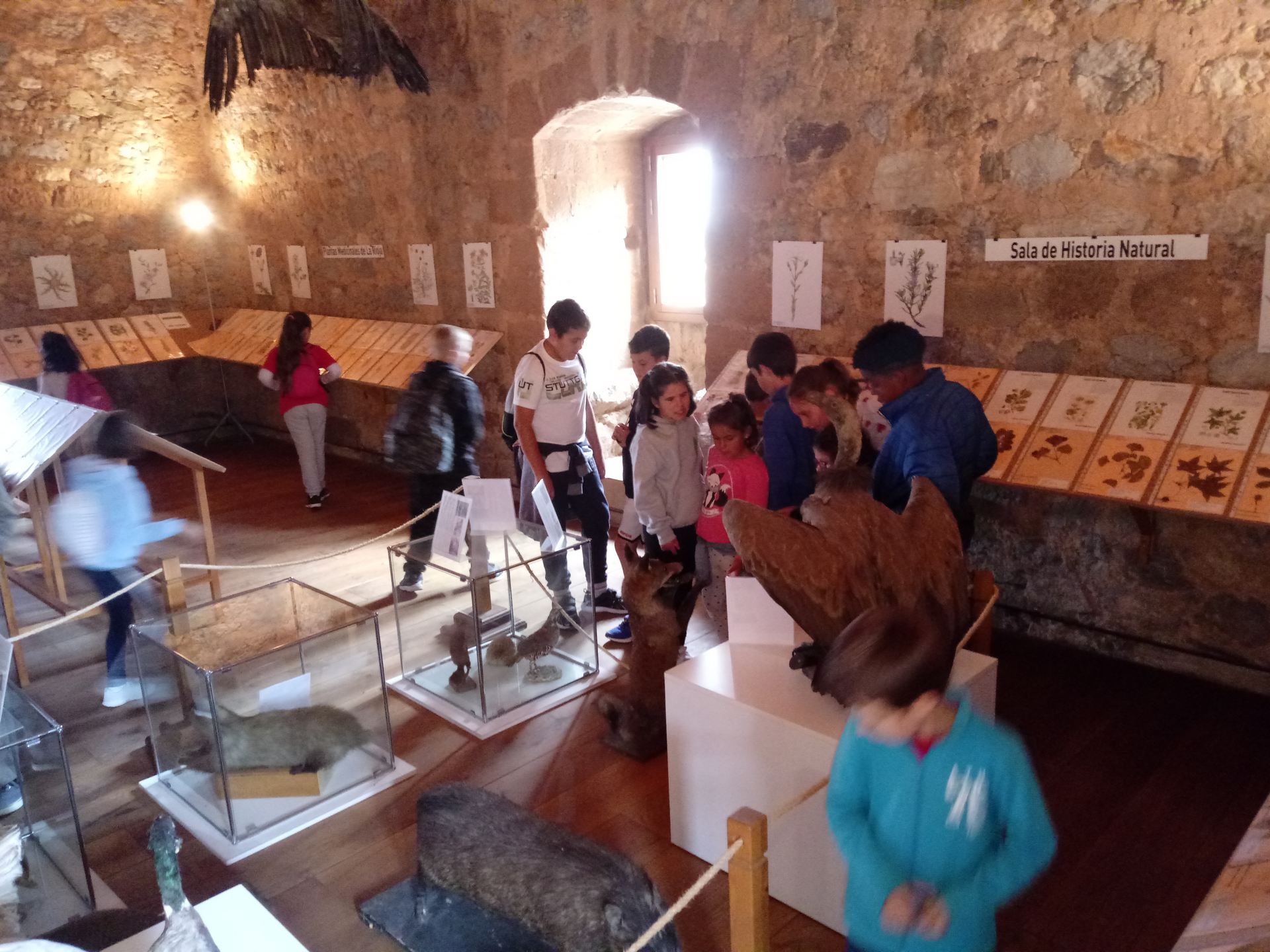 visita_cuevas_39_20191010_1660621531.jpg