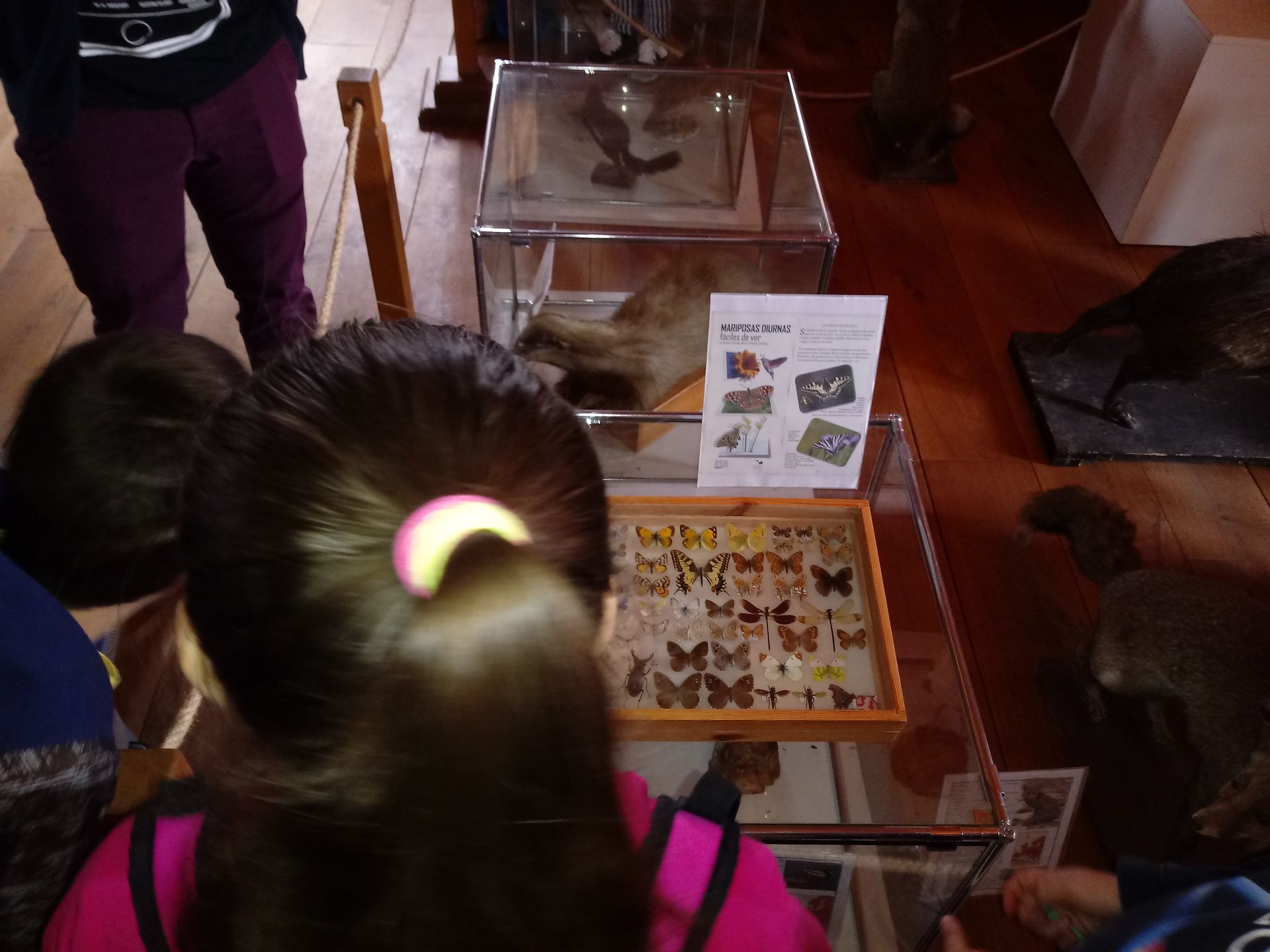 visita_cuevas_41_20191010_1497568926.jpg
