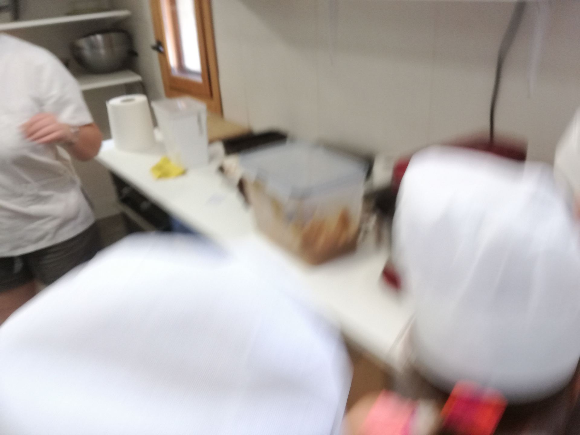 visita_a_la_panaderia_de_poyales_19_20190605_1406734892.jpg