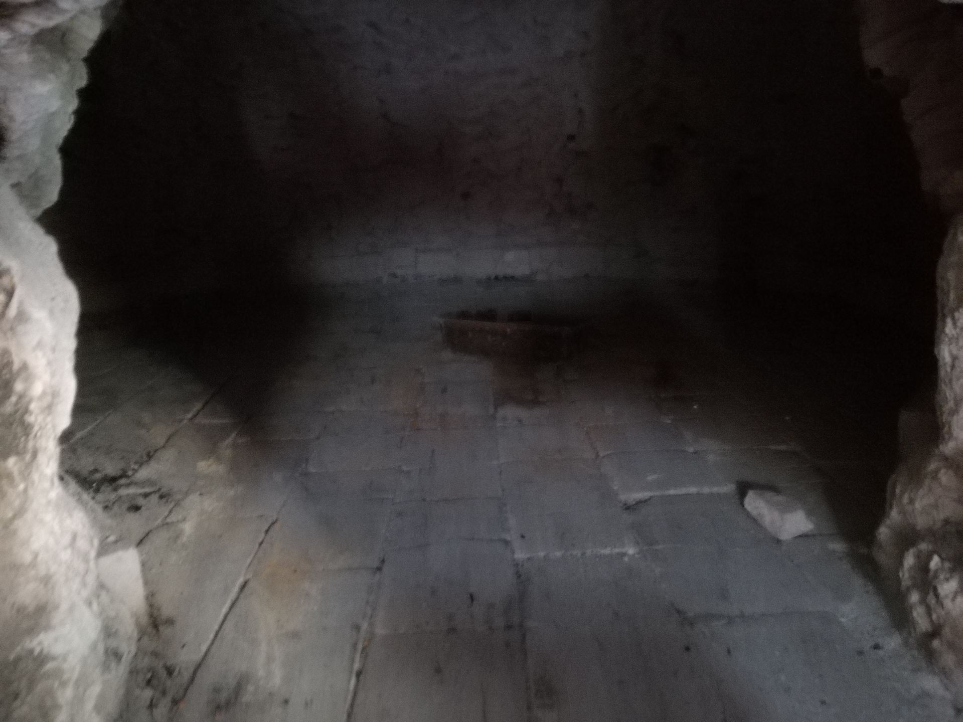visita_a_la_panaderia_de_poyales_24_20190605_1159970411.jpg