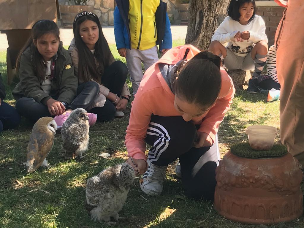 visita_a_tierra_rapaz_22_20190524_1673856241.jpg
