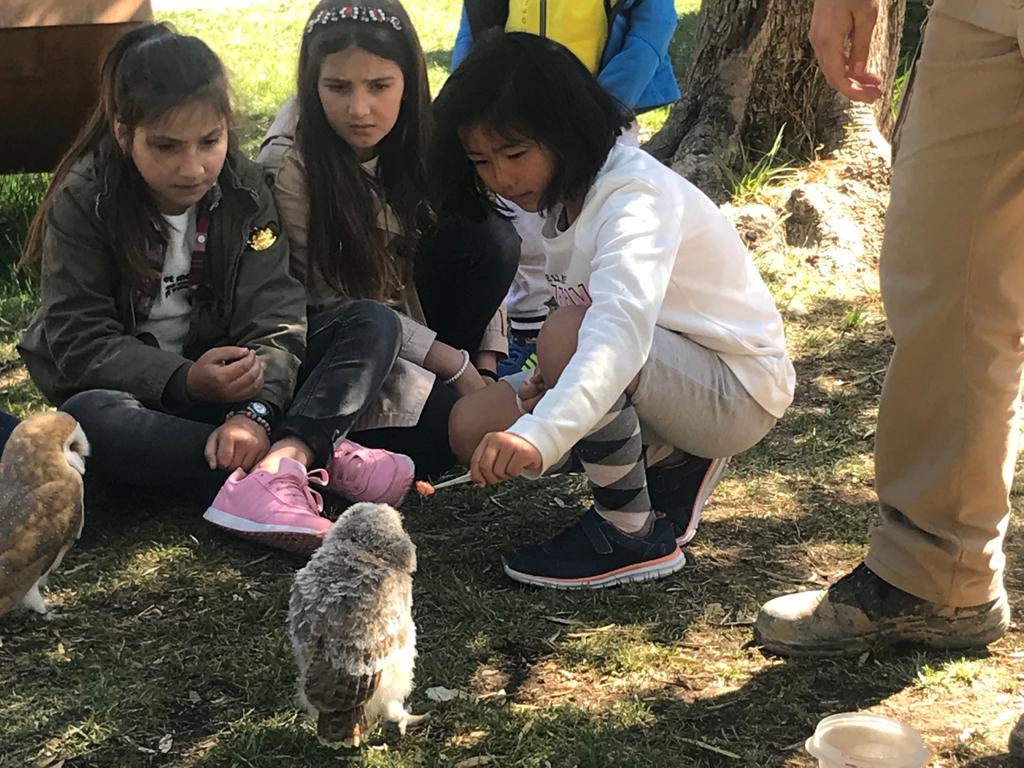 visita_a_tierra_rapaz_23_20190524_1251015411.jpg