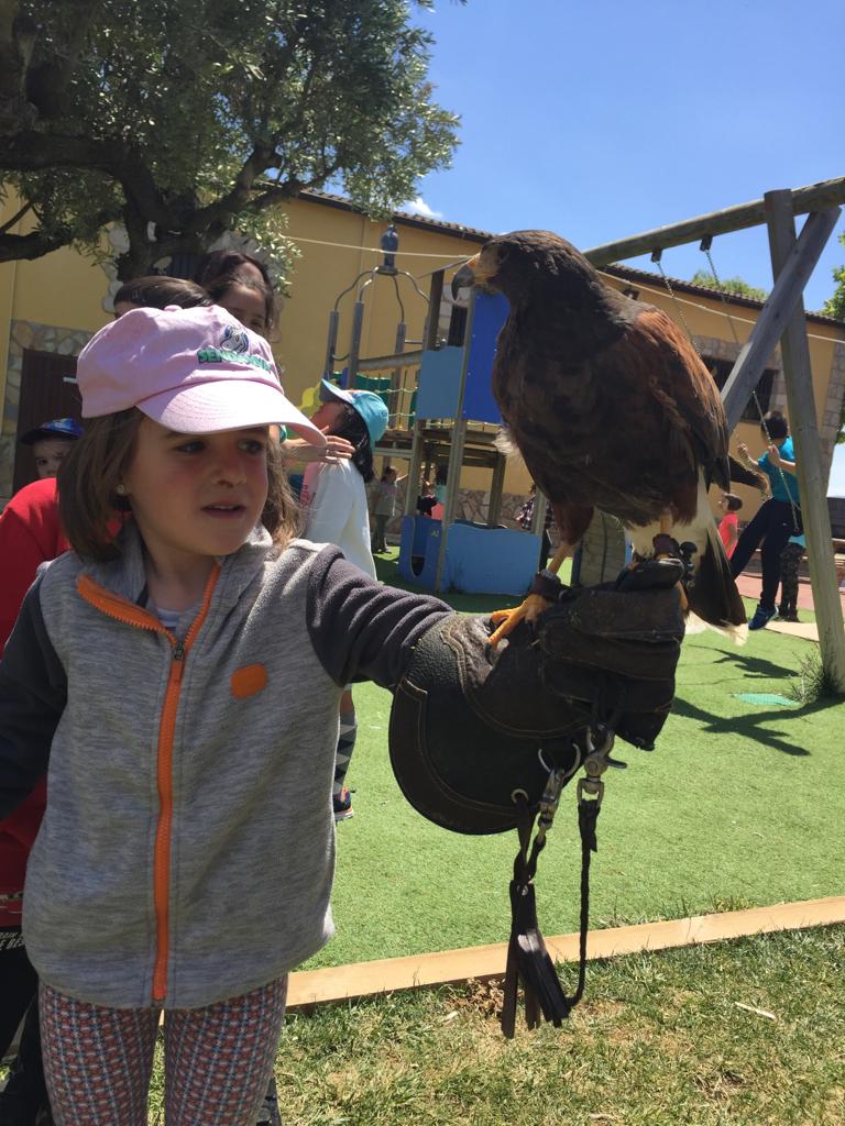 visita_a_tierra_rapaz_33_20190524_1666484624.jpg