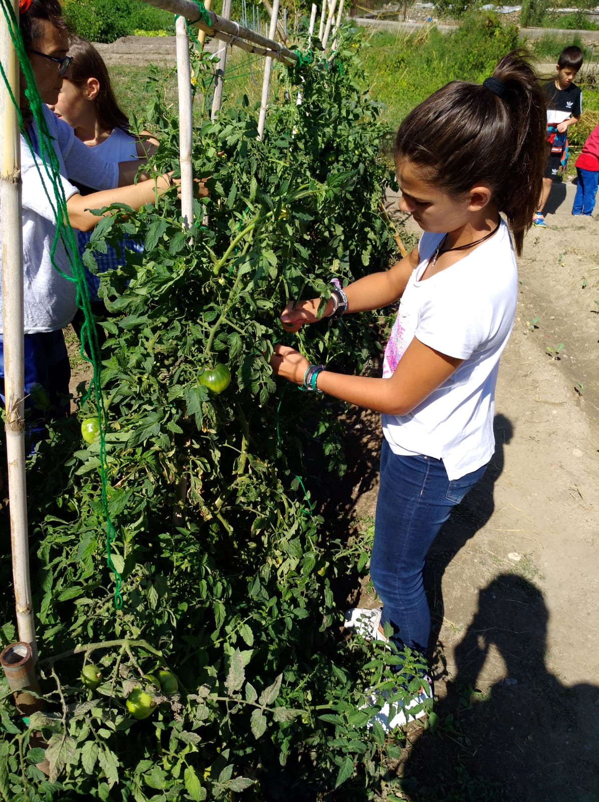 primer_dia_de_huerto_en_arnedillo_10_20180928_1012693695.jpg