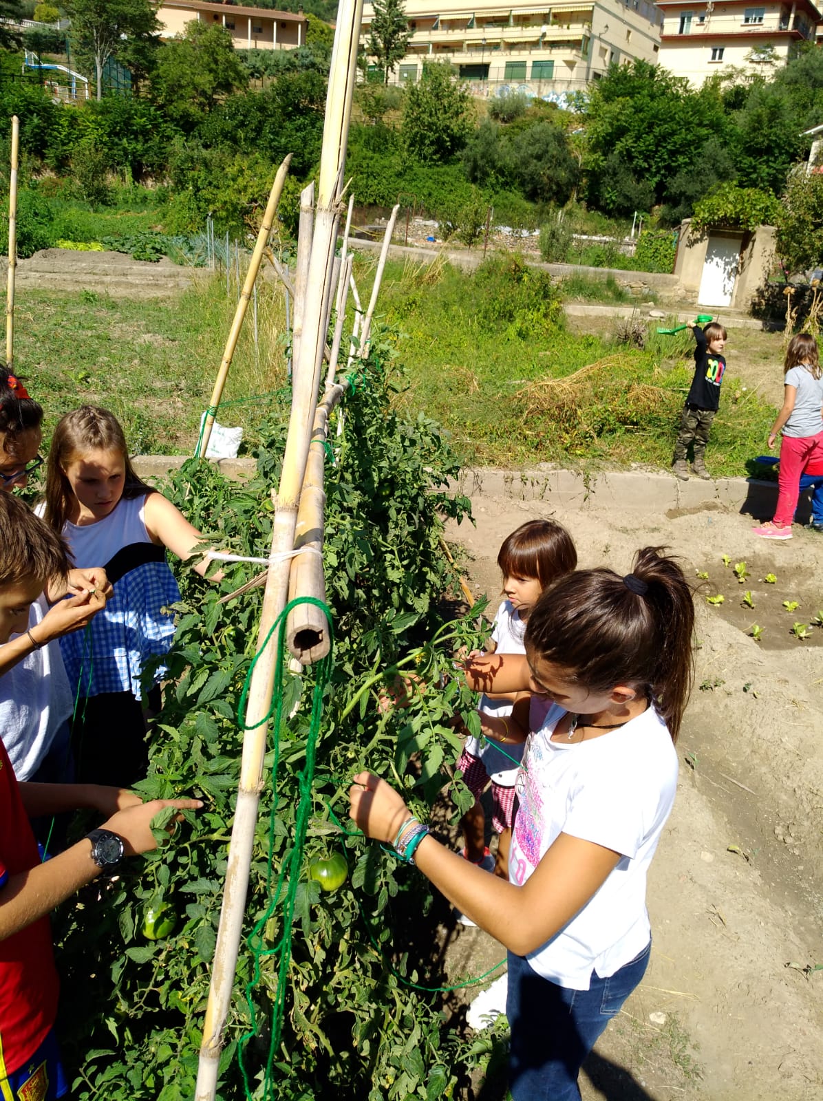 primer_dia_de_huerto_en_arnedillo_11_20180928_2043638463.jpg