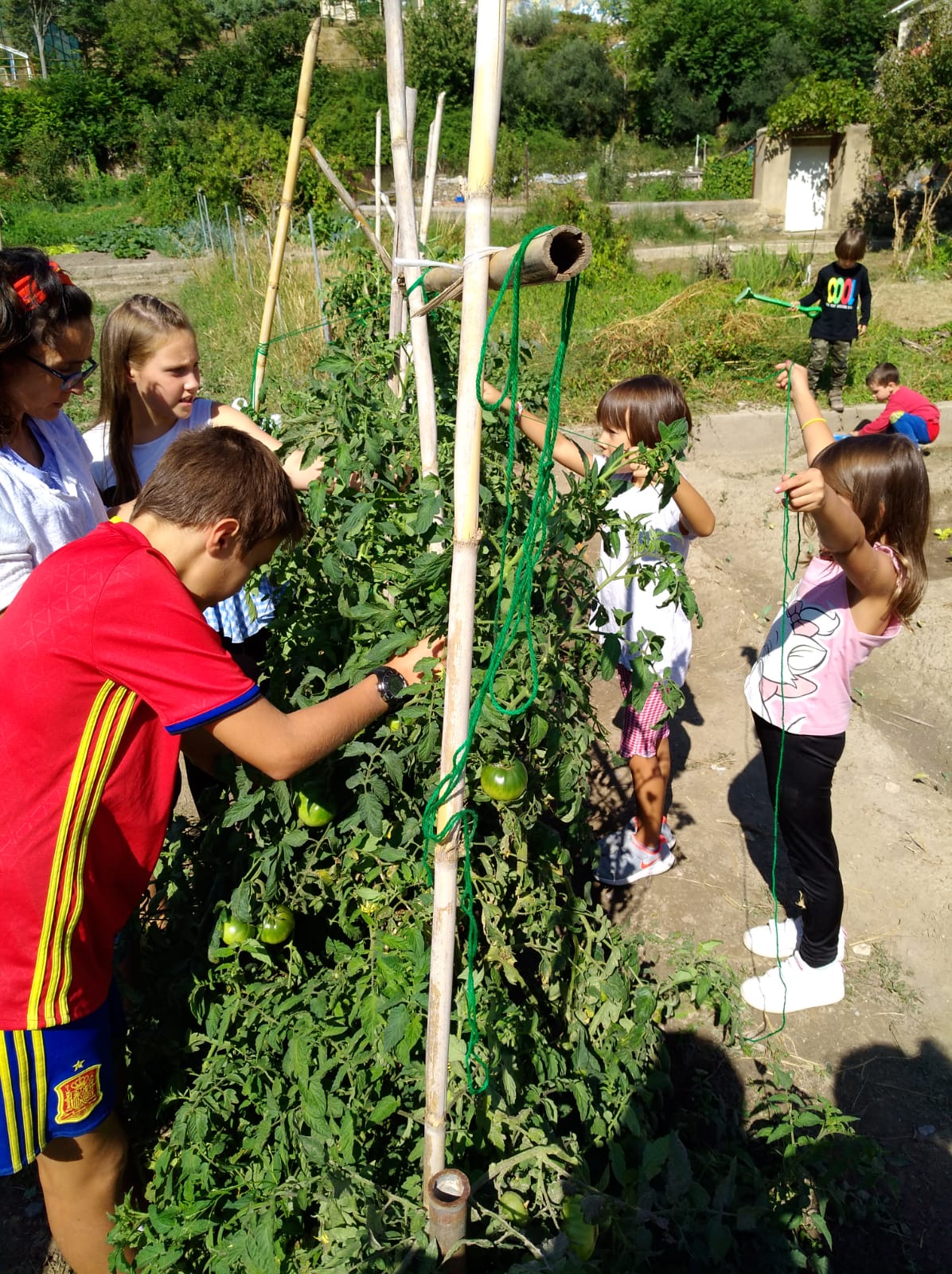 primer_dia_de_huerto_en_arnedillo_13_20180928_1271309142.jpg