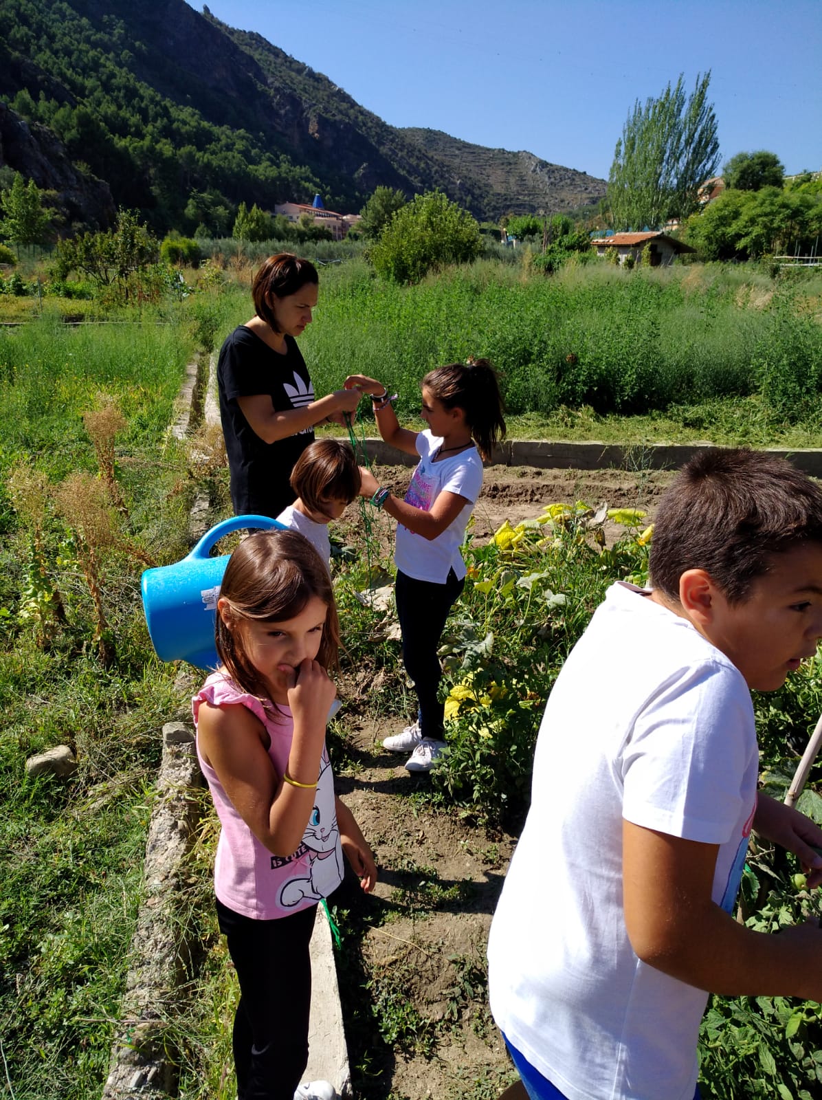 primer_dia_de_huerto_en_arnedillo_14_20180928_1607897996.jpg
