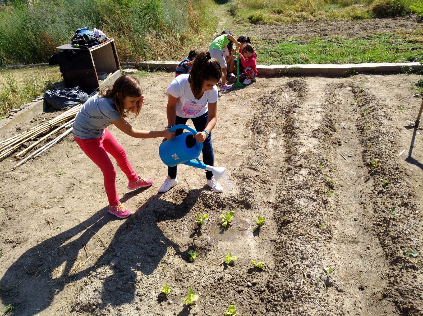 primer_dia_de_huerto_en_arnedillo_18_20180928_1160642462.jpg