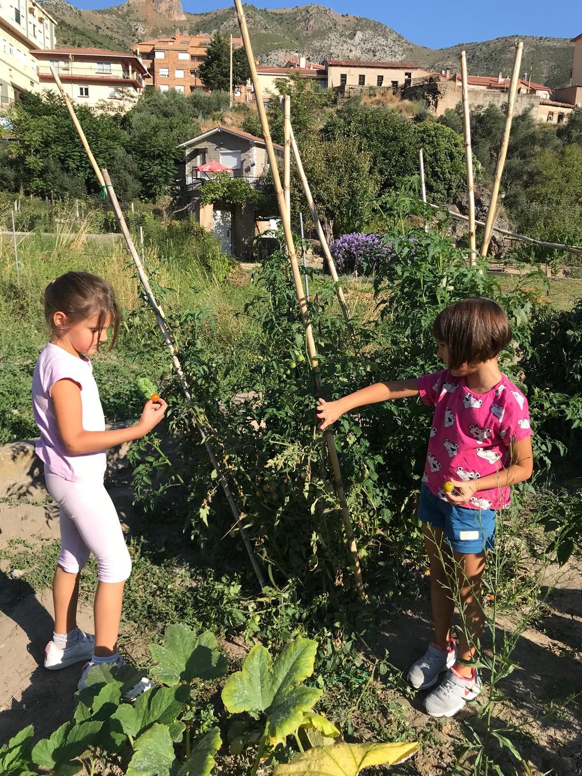 primer_dia_de_huerto_en_arnedillo_1_20180928_1234482301.jpg