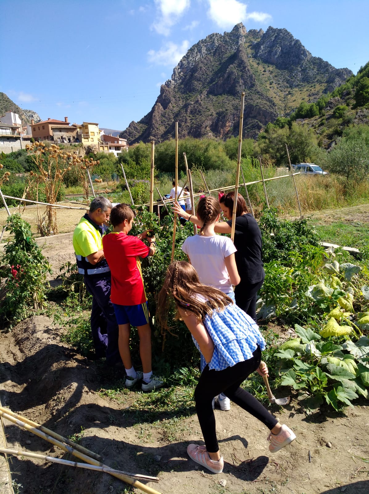 primer_dia_de_huerto_en_arnedillo_20_20180928_1788814095.jpg