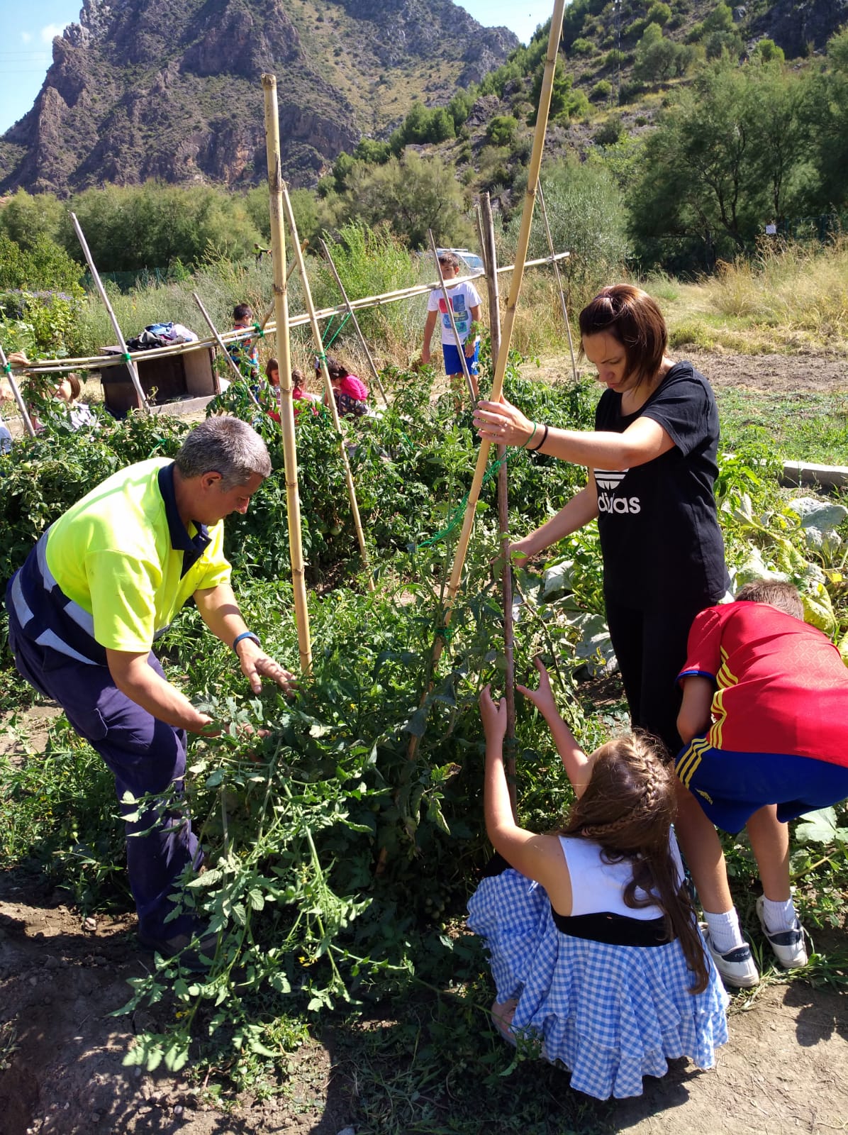 primer_dia_de_huerto_en_arnedillo_21_20180928_1701364595.jpg
