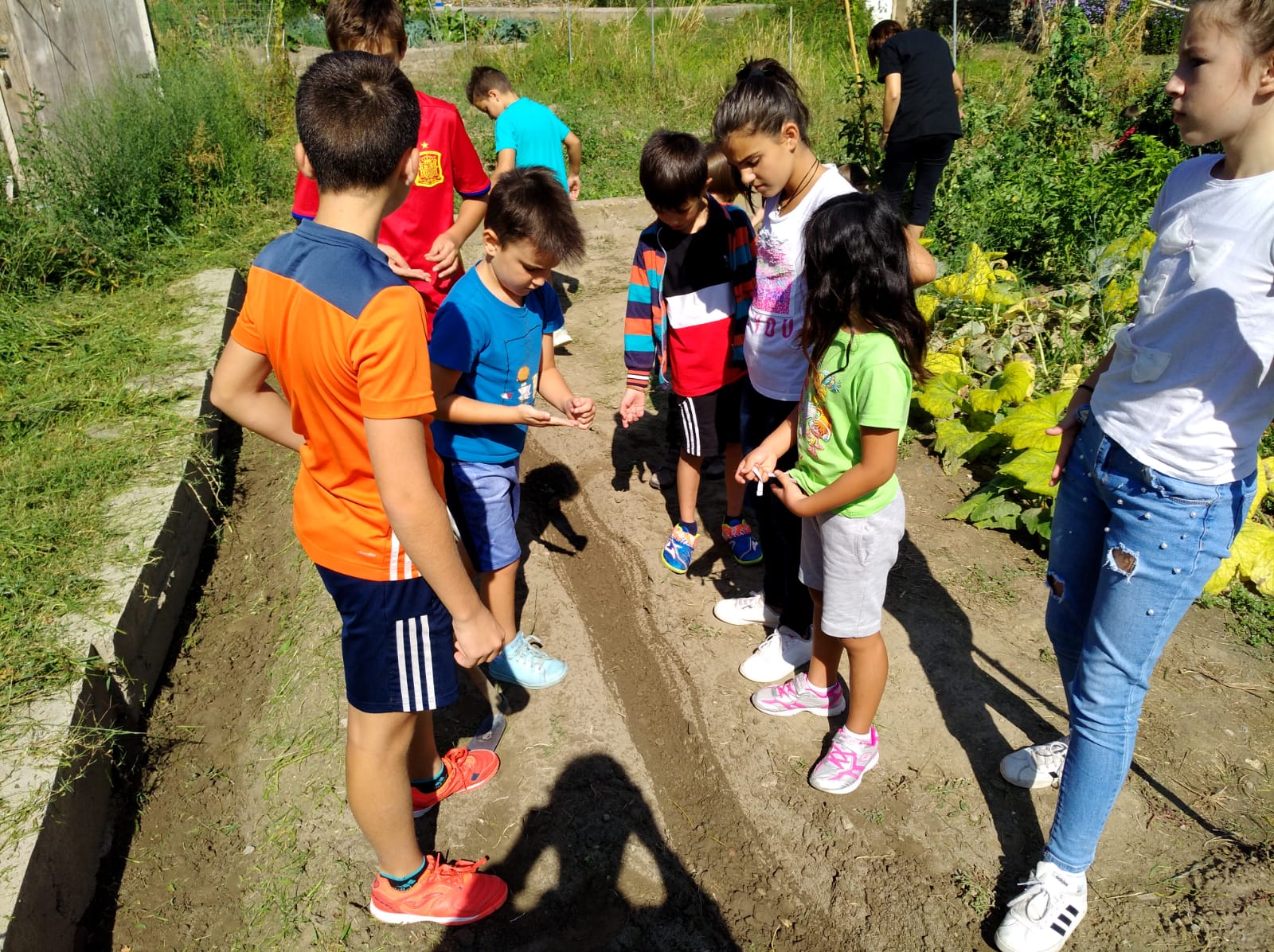 primer_dia_de_huerto_en_arnedillo_24_20180928_1426751918.jpg