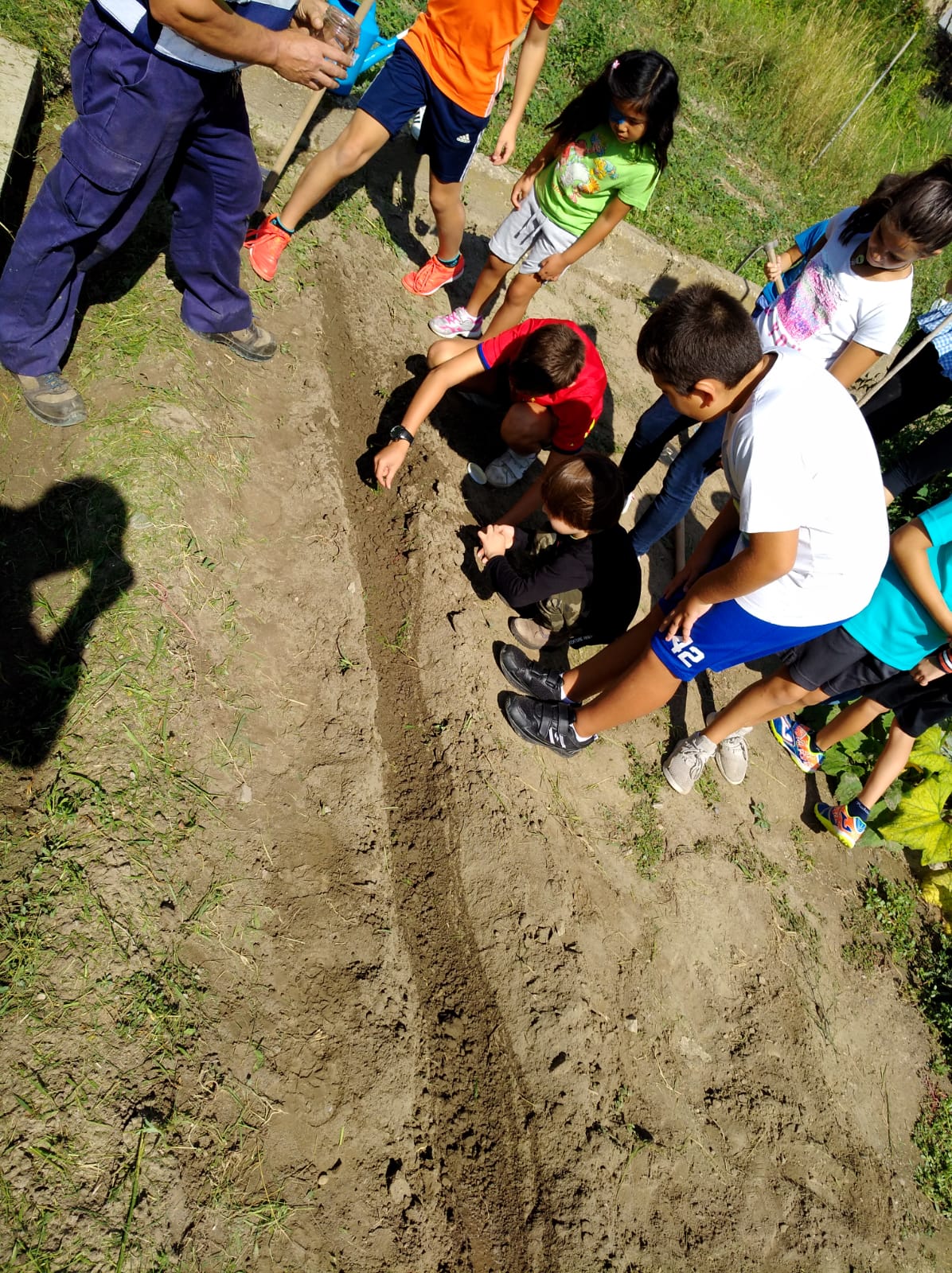 primer_dia_de_huerto_en_arnedillo_26_20180928_1662207213.jpg
