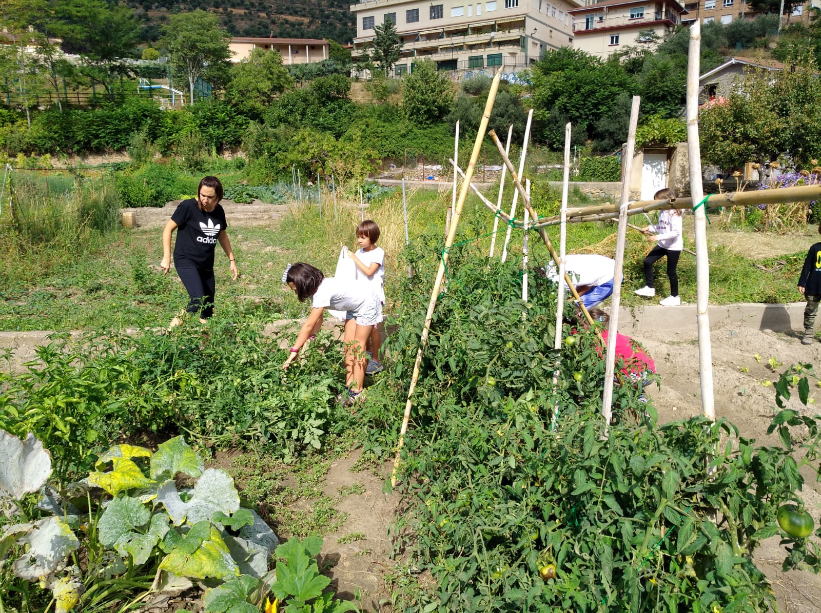 primer_dia_de_huerto_en_arnedillo_28_20180928_1077859576.jpg