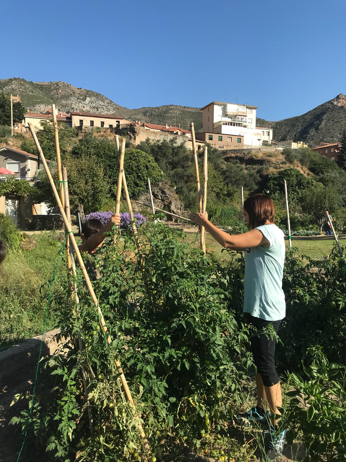 primer_dia_de_huerto_en_arnedillo_3_20180928_1773027069.jpg