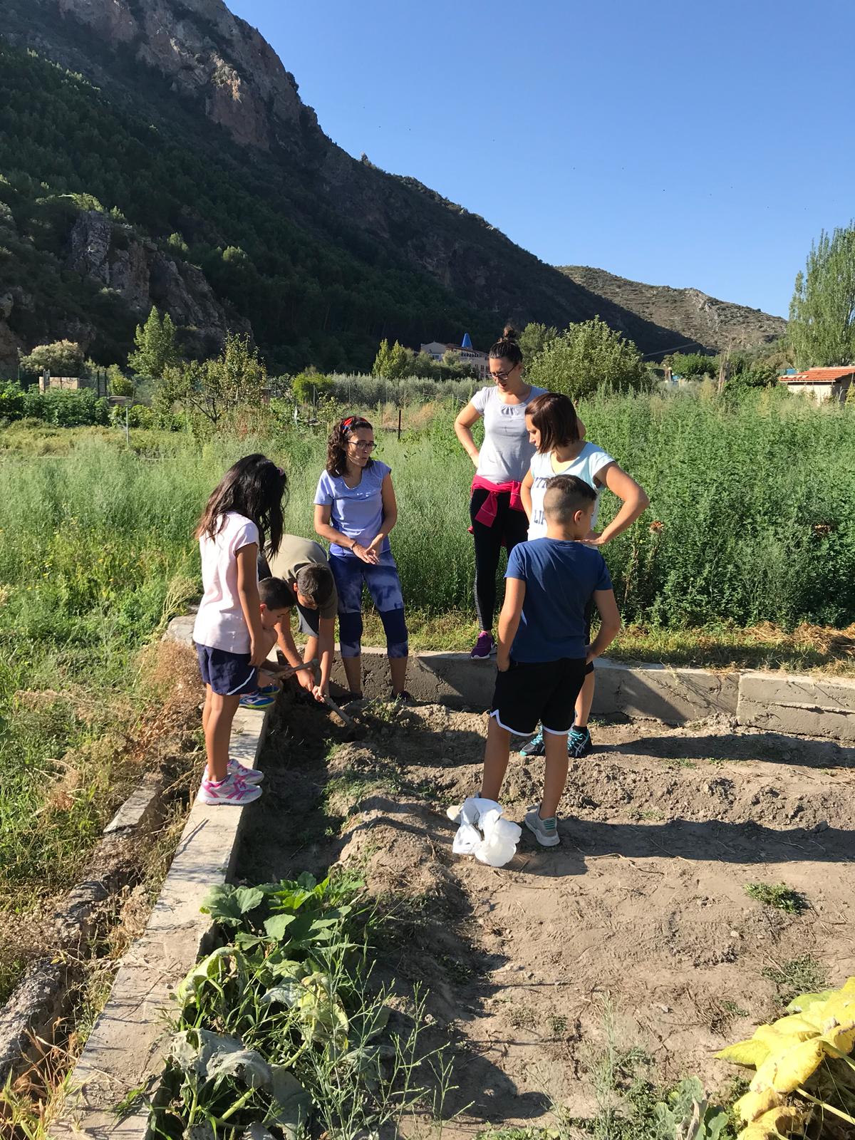 primer_dia_de_huerto_en_arnedillo_7_20180928_1744824731.jpg