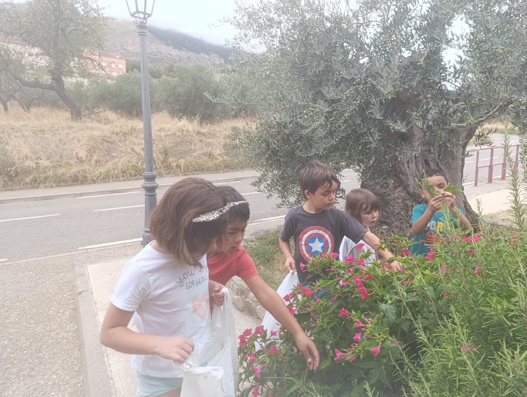curiosidades_en_el_entorno_natural_de_prejano_3_20251103_2085034917.jpg