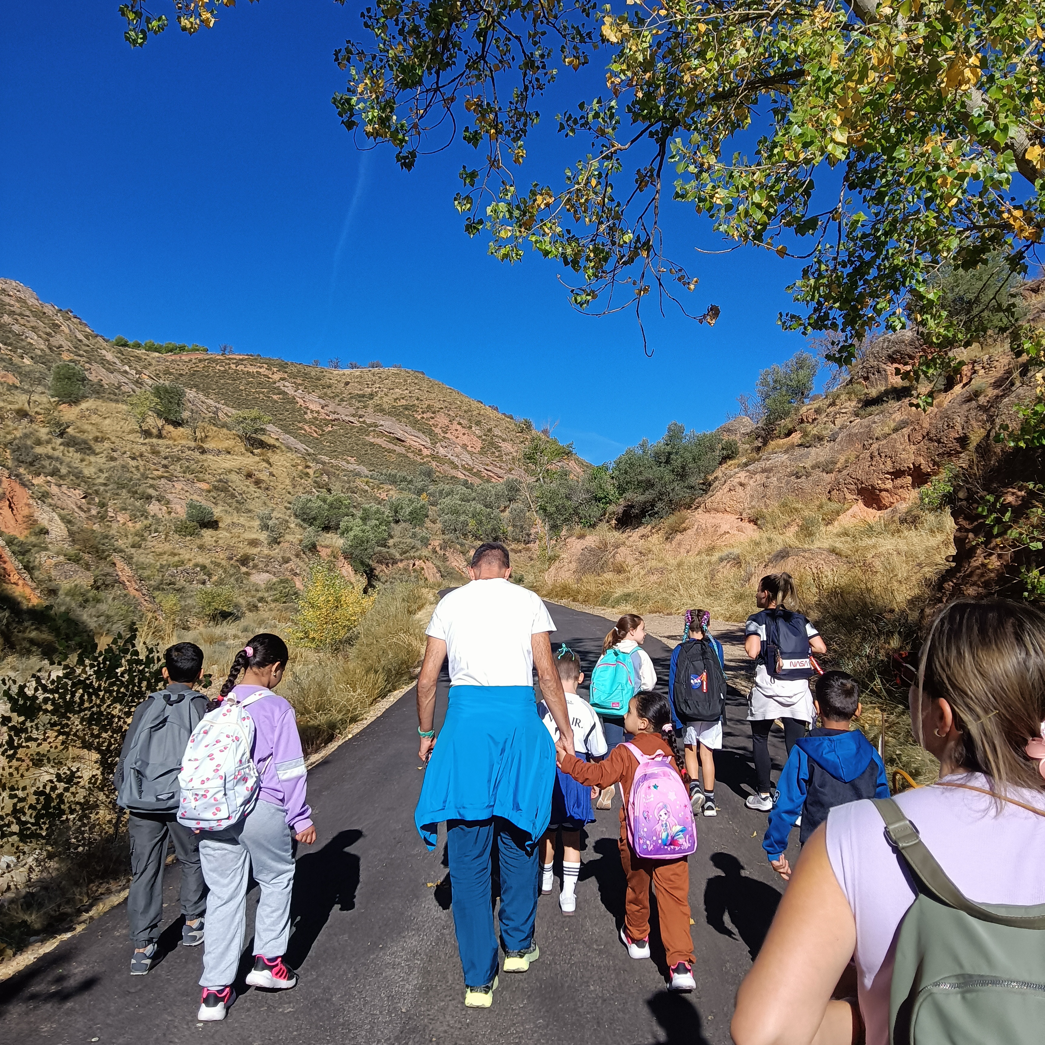 menudas_vistas_5_20251010_1467314146.jpg