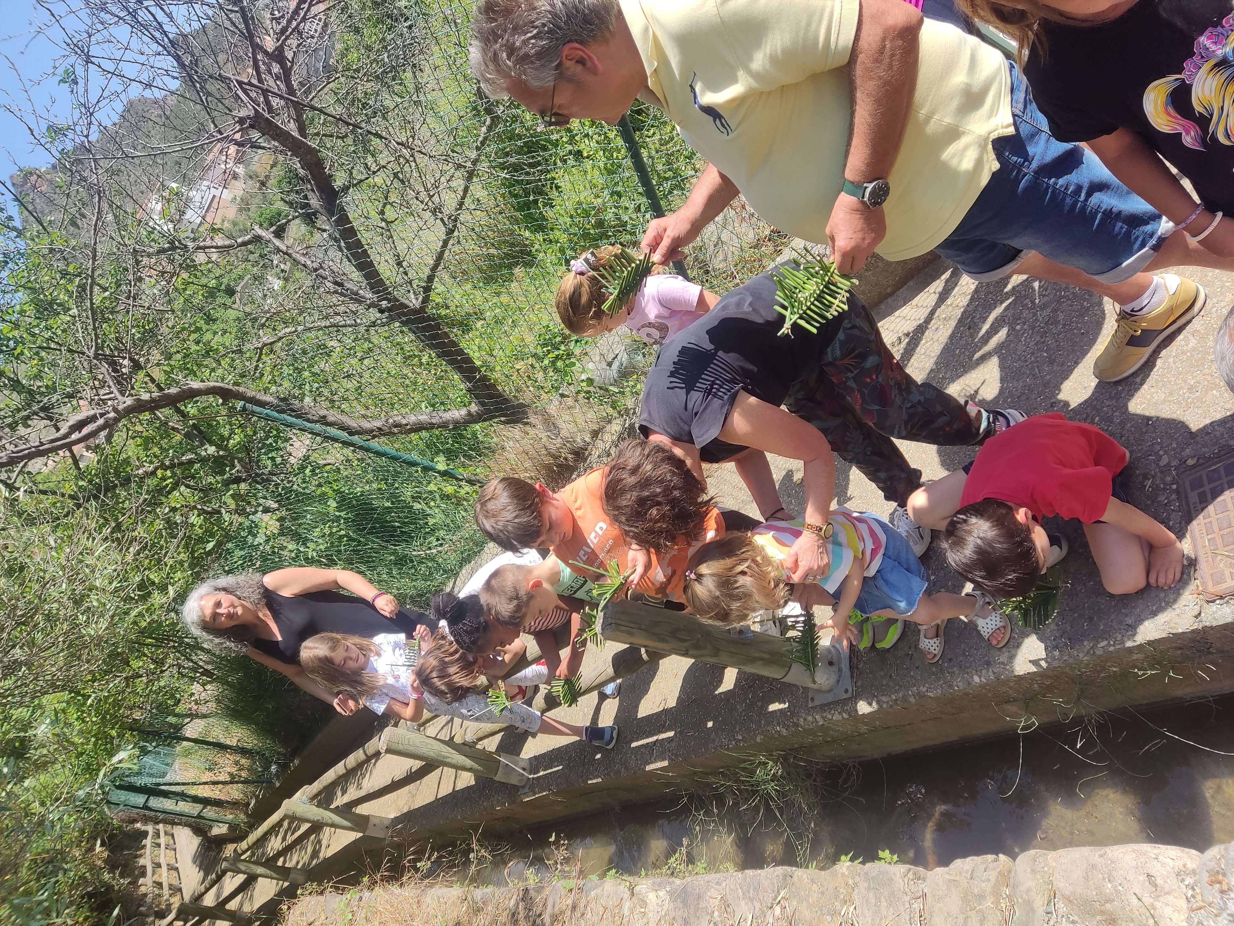 juegos_tradicionales_21_20250617_1415432488.jpg
