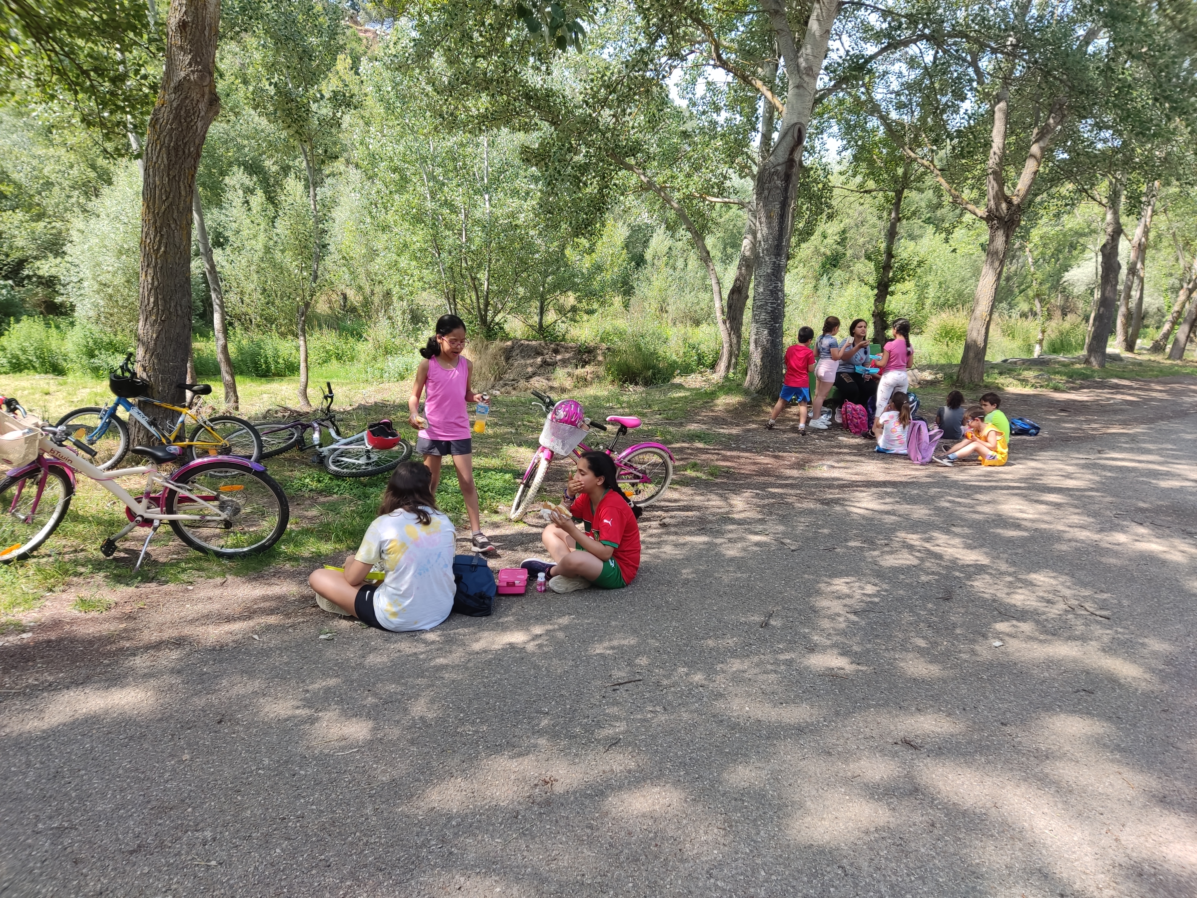 dia_de_la_bicicleta_29_20250615_1207799326.jpg