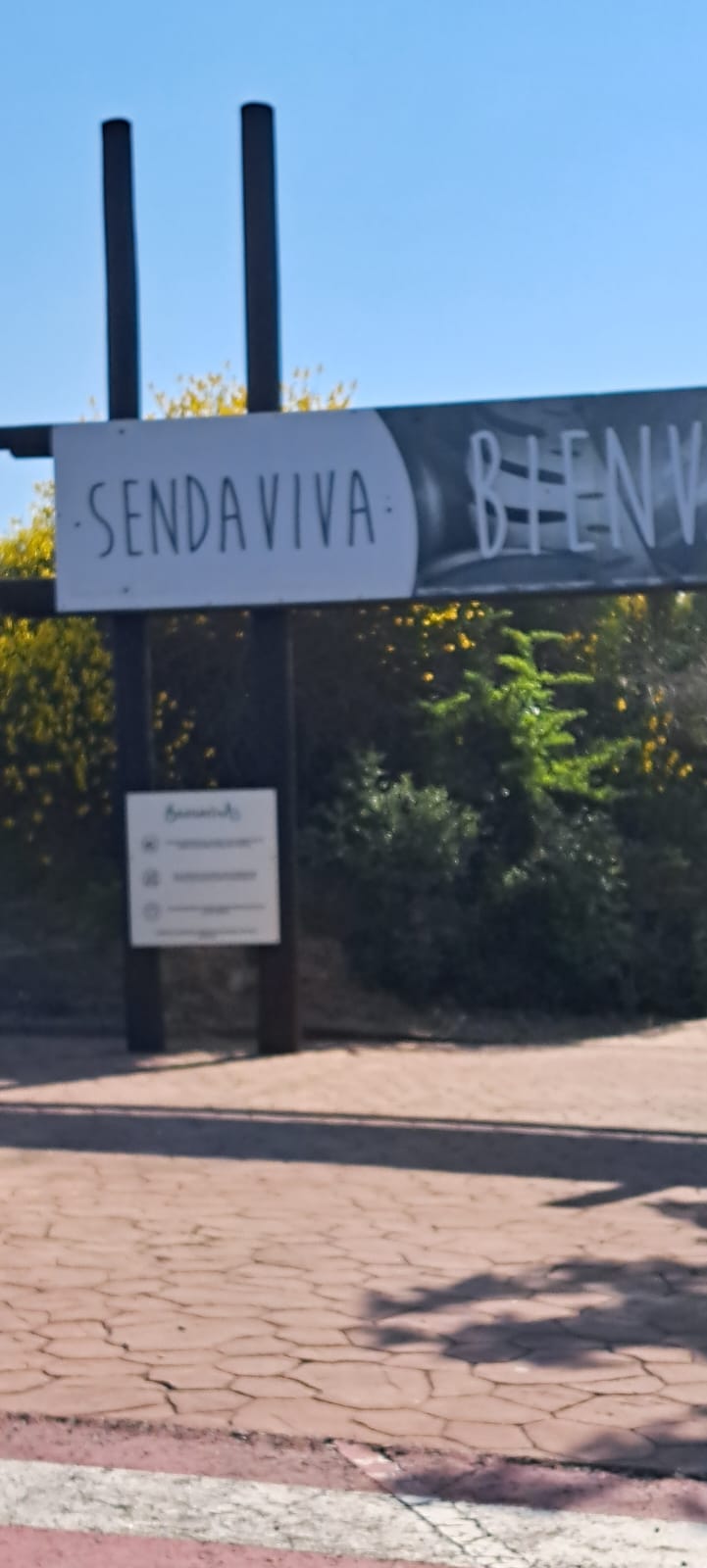 excursion_a_sendaviva_1_20250611_2045575050.jpg
