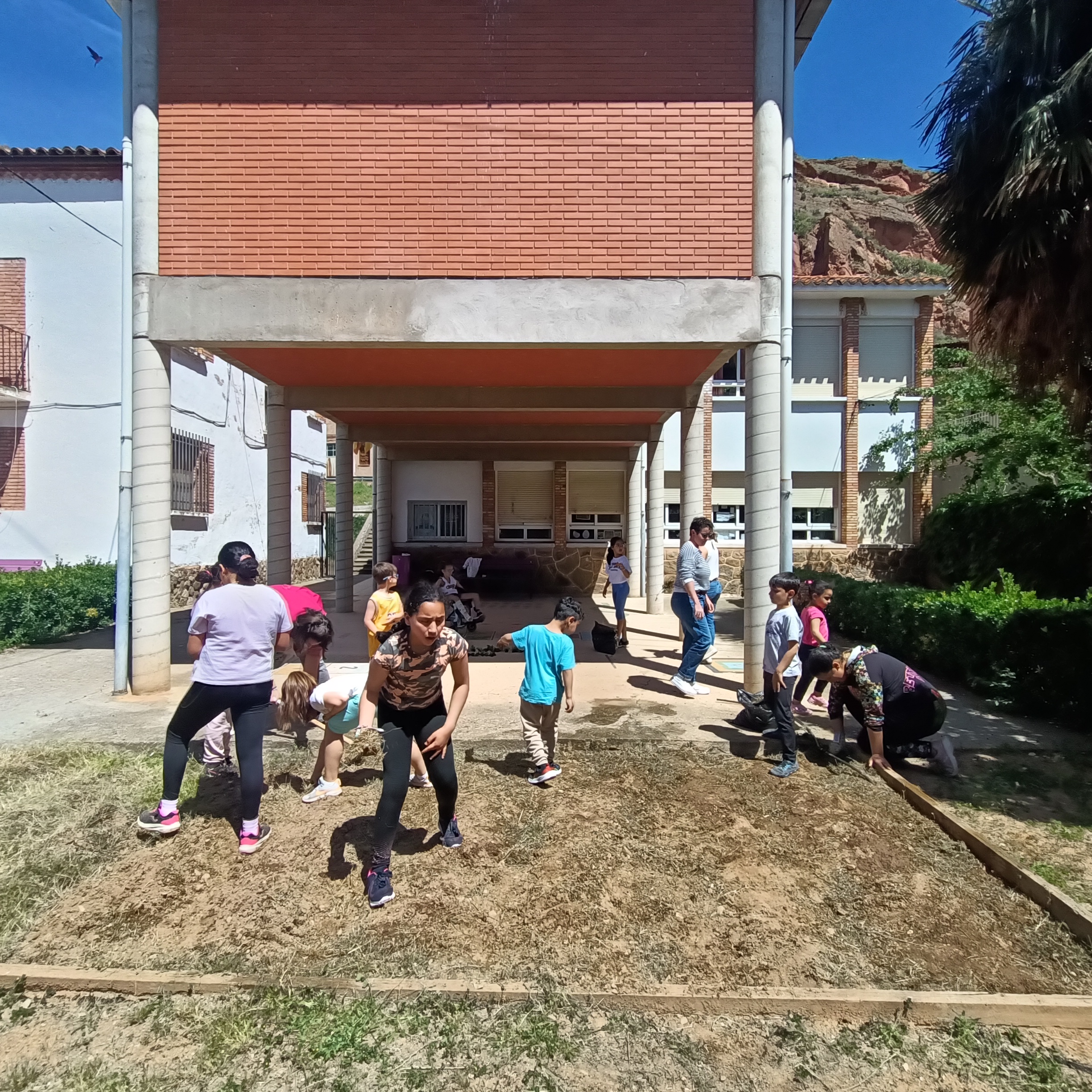 ultima_siembra_ultimos_frutos_7_20250529_1075389522.jpg