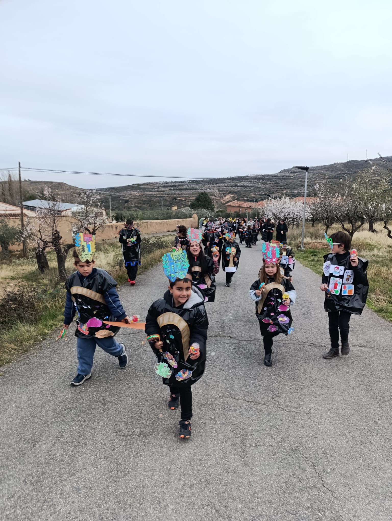 carnaval_2025_28_20250306_1408080193.jpeg