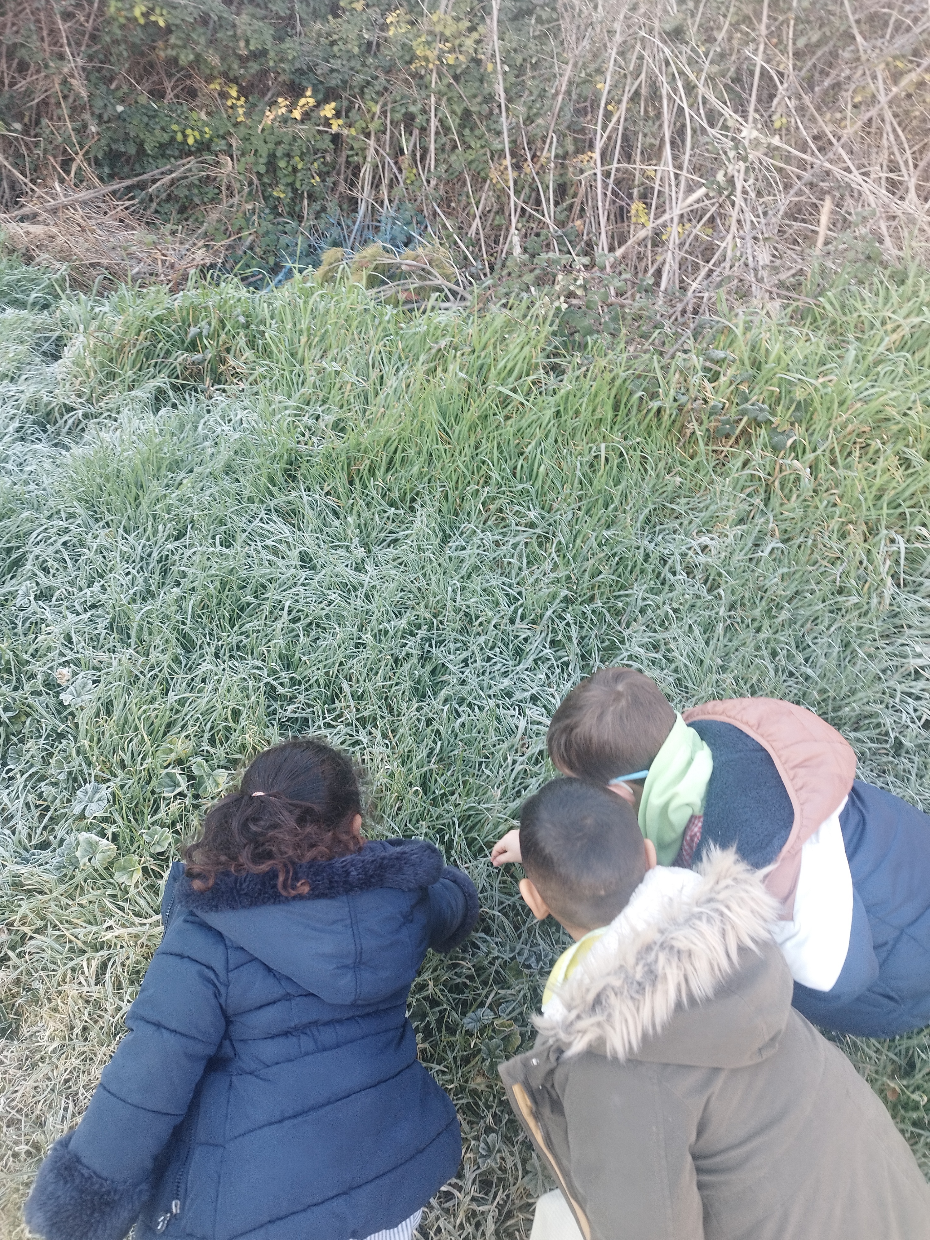 invierno_en_herce_7_20250225_1789145728.jpg