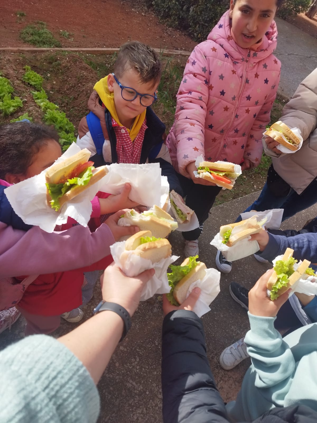 sandwiches_saludables_10_20250221_1971900385.jpg