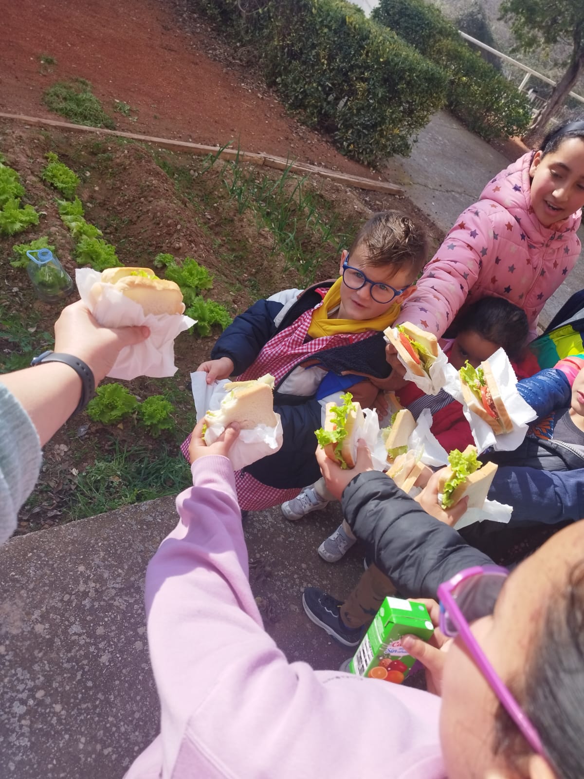 sandwiches_saludables_11_20250221_1783576601.jpg
