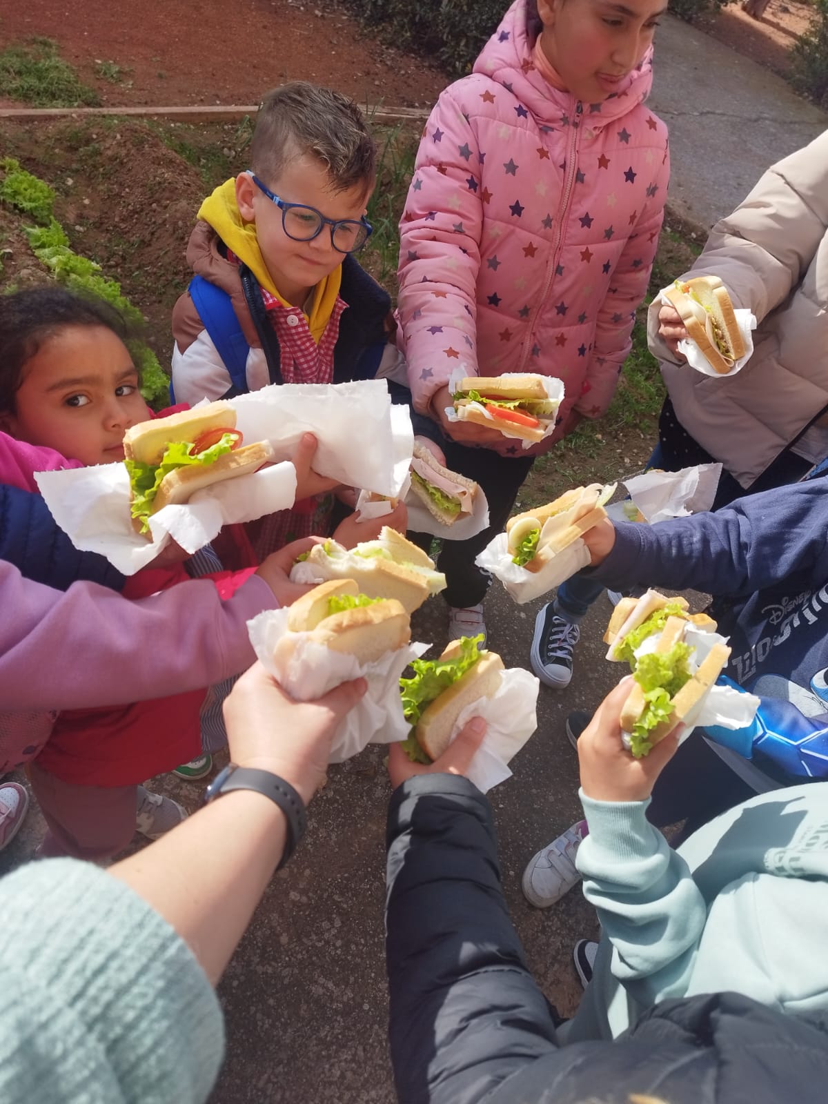 sandwiches_saludables_9_20250221_1106877613.jpg