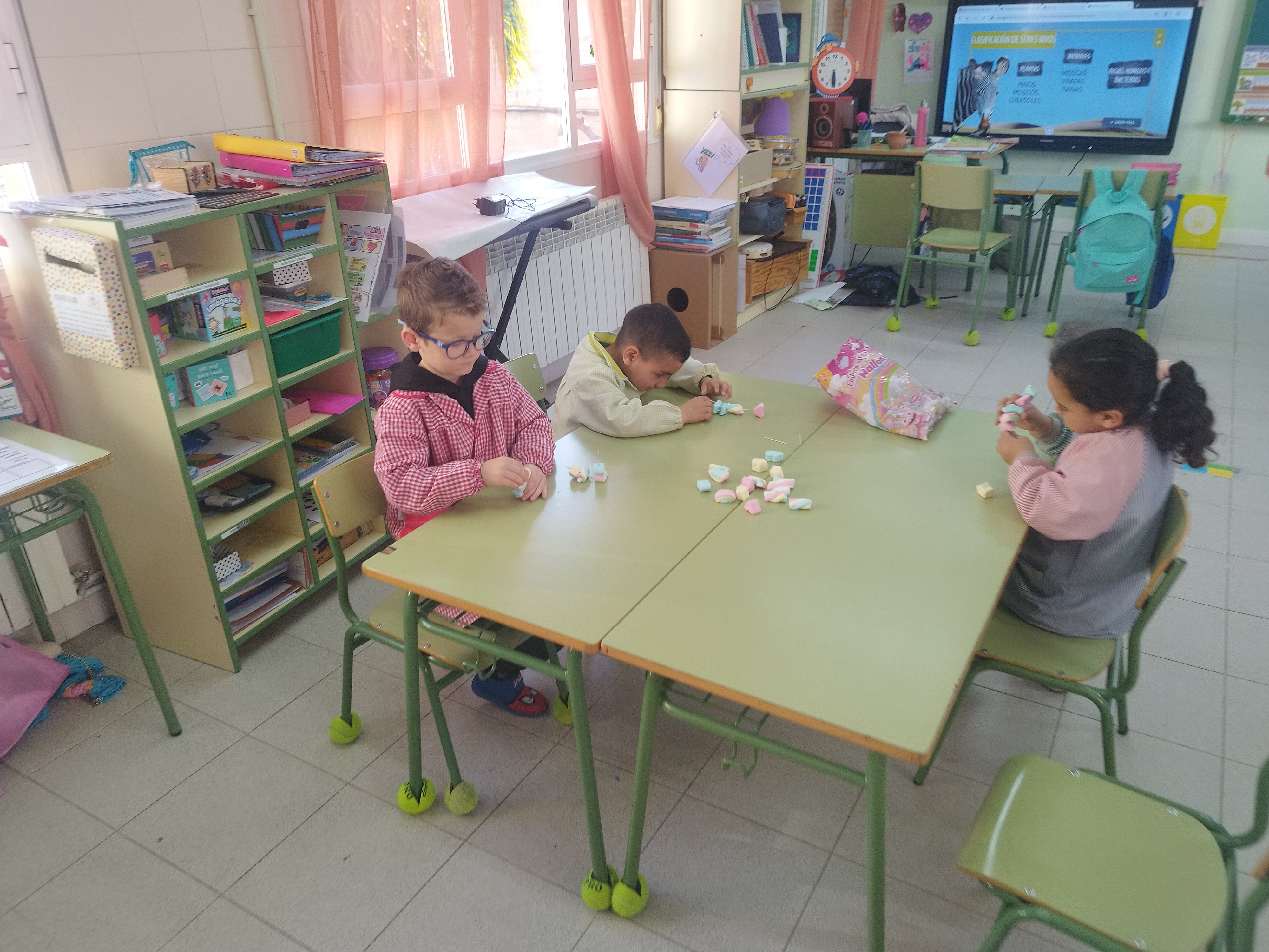 sanvalentinherce_8_20250218_1870504067.jpg