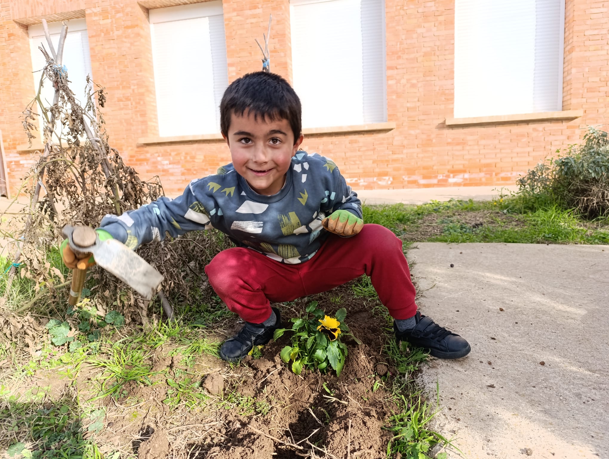 plantando_pensamientos_10_20250216_2017188106.jpg
